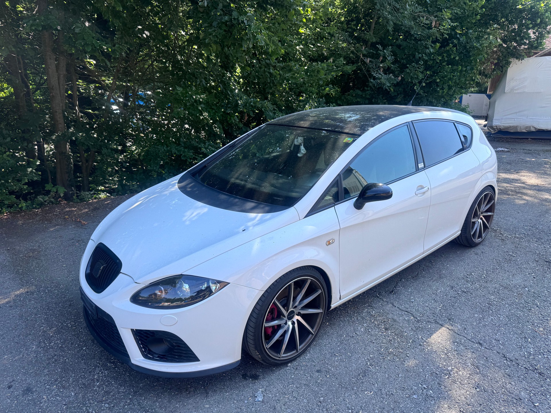 SEAT Leon 2.0 TSI World Champion Edition-image-4