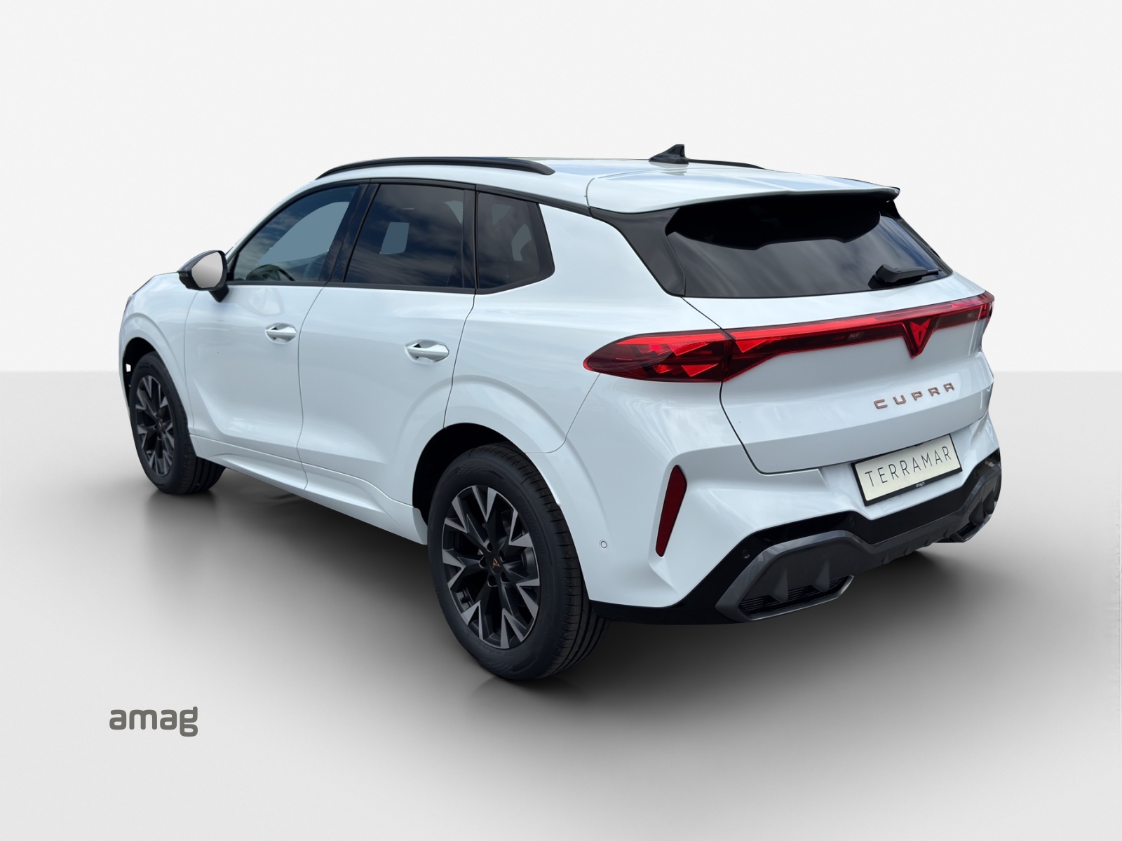 CUPRA Terramar 1.5 eTSI Prime Edition DSG-showroom-element-2