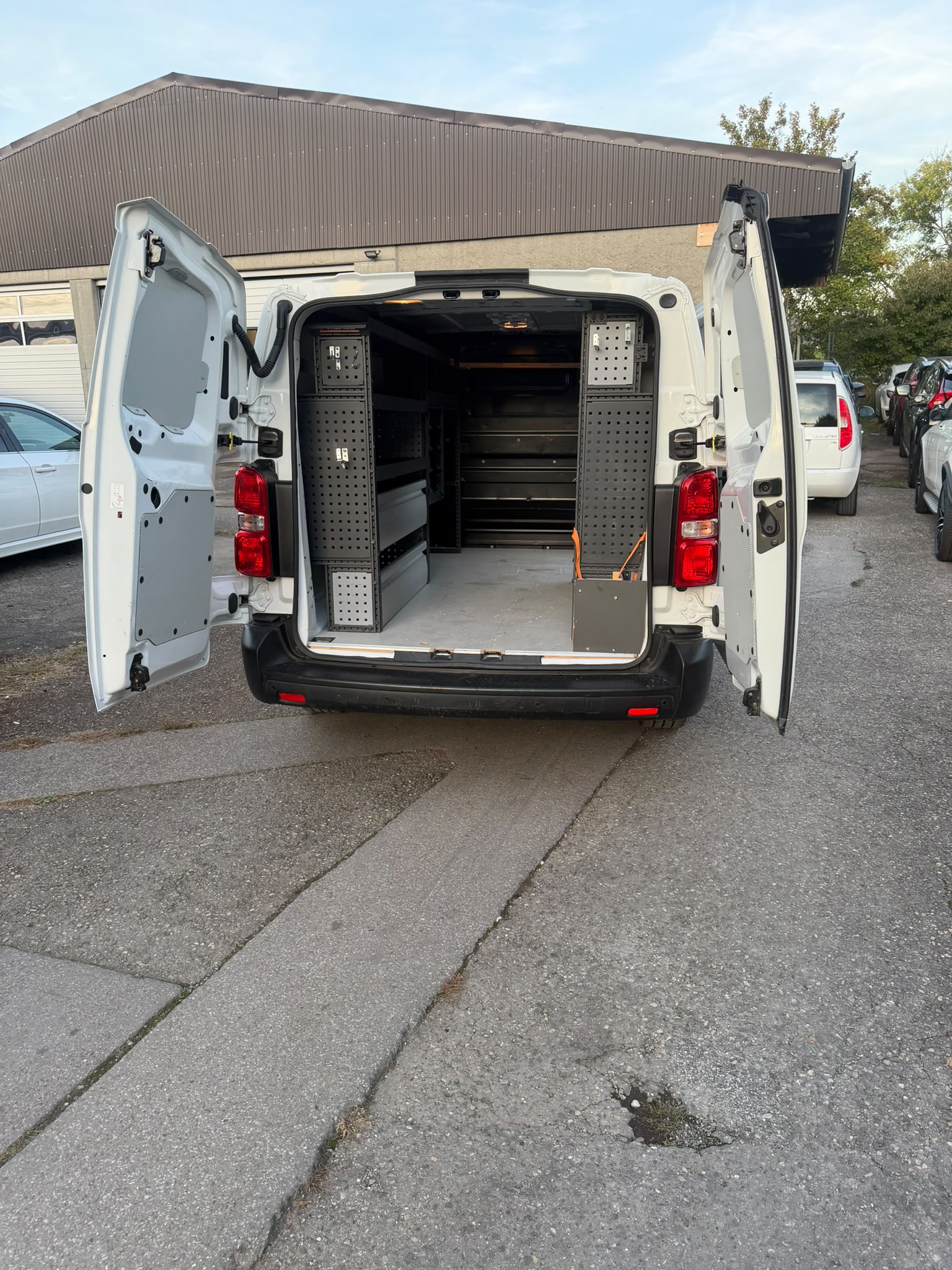 OPEL VIVARO-image-6