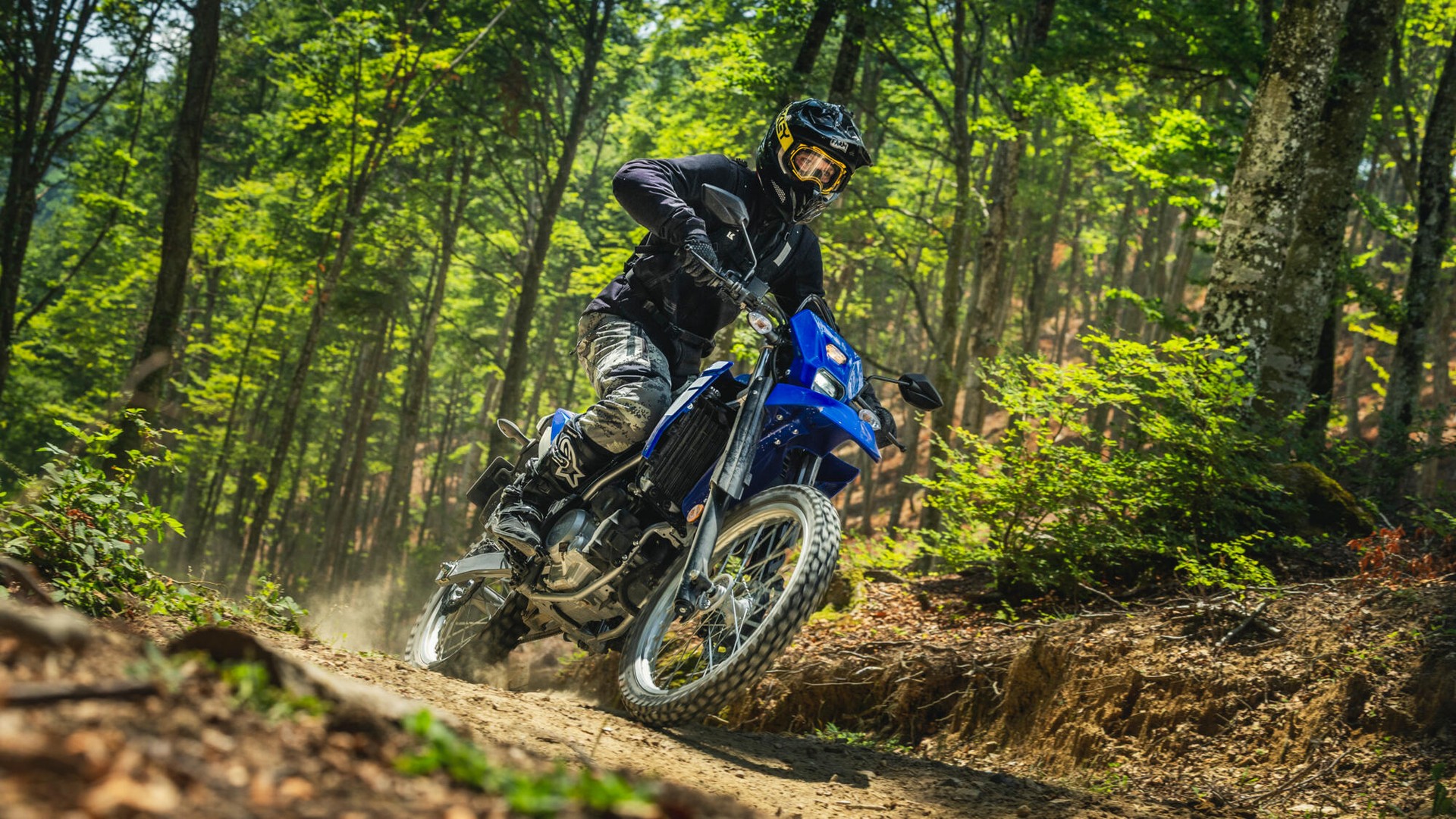 YAMAHA WR 125-image-5