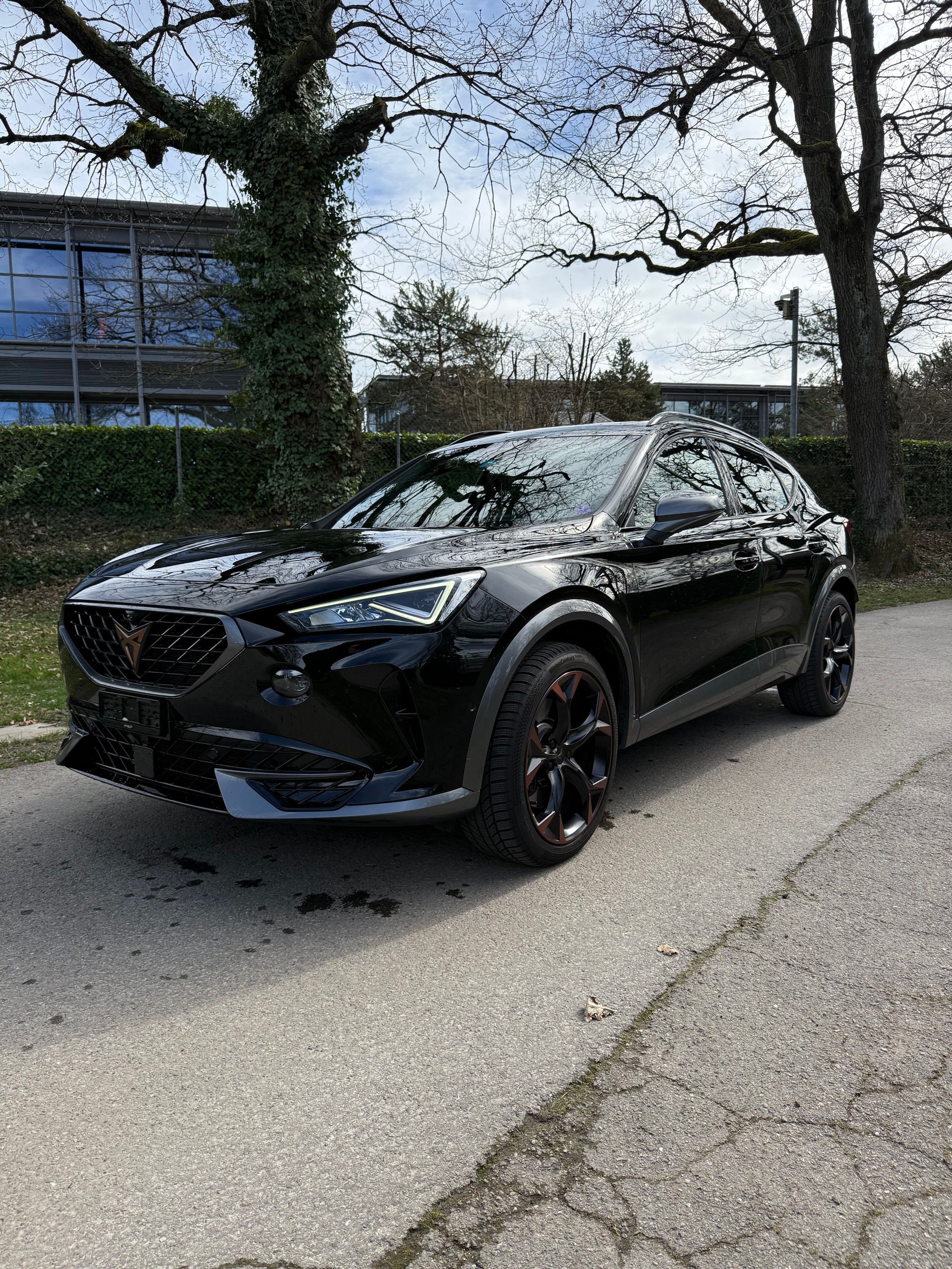 CUPRA Formentor 2.0TSI VZ 4Drive DSG-image-2