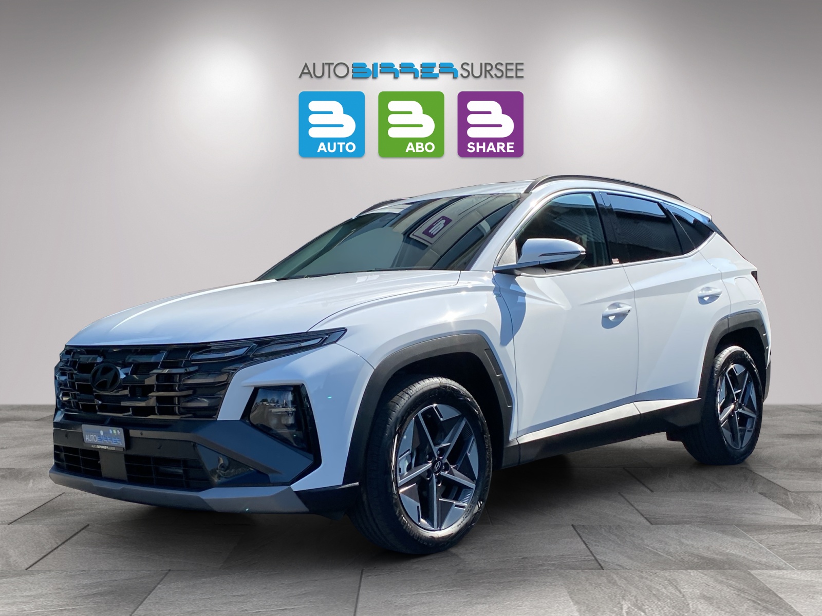 HYUNDAI Tucson 1.6 T-GDi HEV Amplia 4WD-image-0