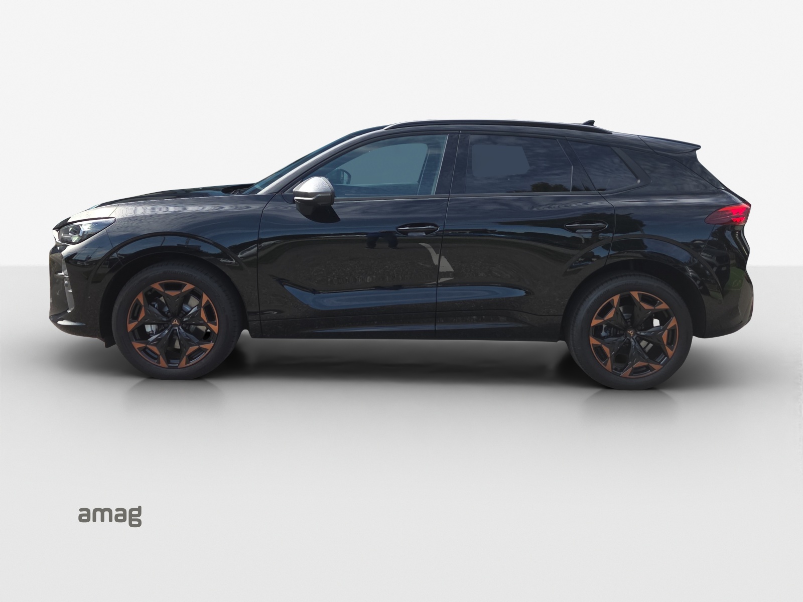 CUPRA Terramar 2.0 TSI Prime Edition DSG 4Drive-image-1