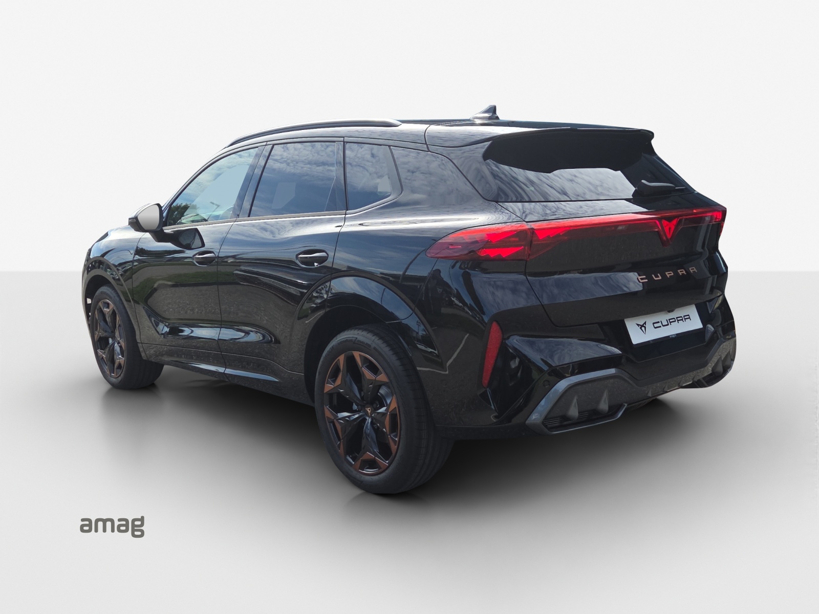 CUPRA Terramar 2.0 TSI Prime Edition DSG 4Drive-image-2