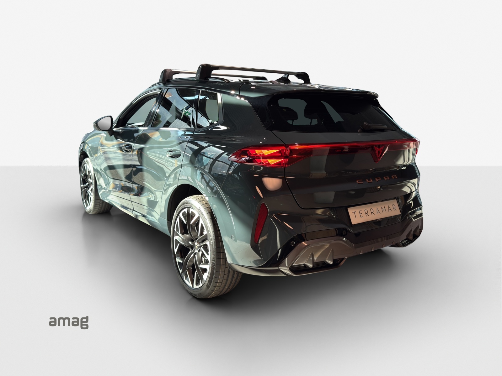 CUPRA Terramar 2.0 TSI DSG 4Drive VZ-showroom-element-2