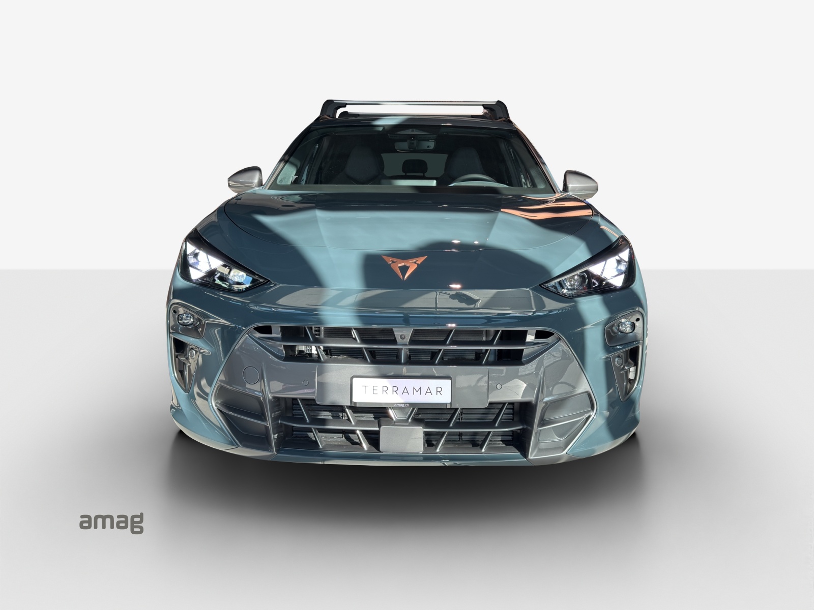 CUPRA Terramar 2.0 TSI DSG 4Drive VZ-image-6