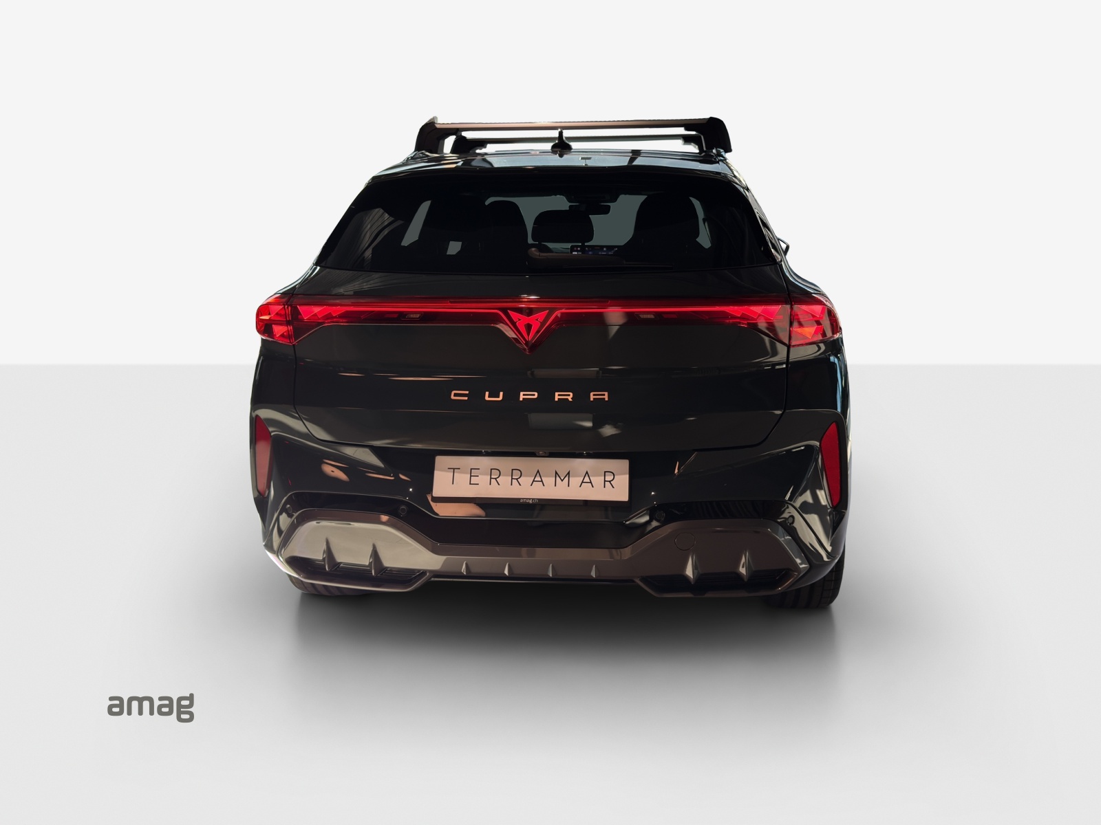 CUPRA Terramar 2.0 TSI DSG 4Drive VZ-image-3