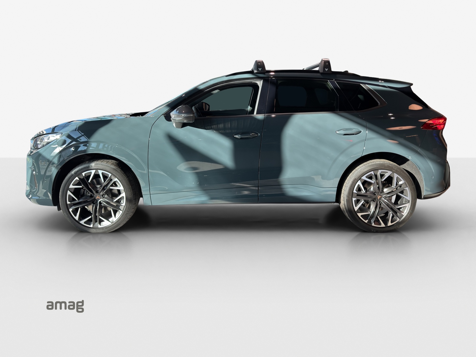CUPRA Terramar 2.0 TSI DSG 4Drive VZ-image-1
