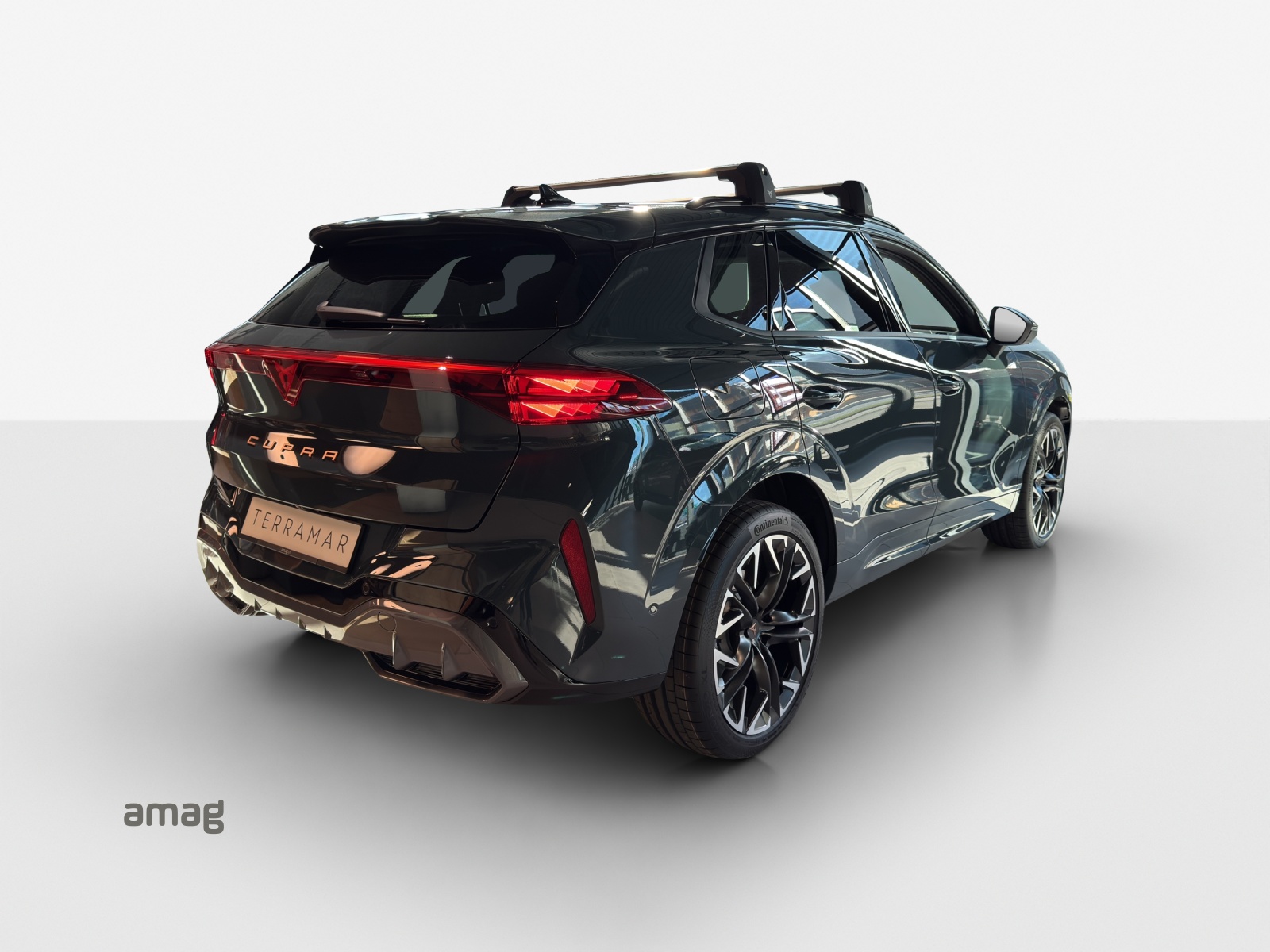 CUPRA Terramar 2.0 TSI DSG 4Drive VZ-image-4