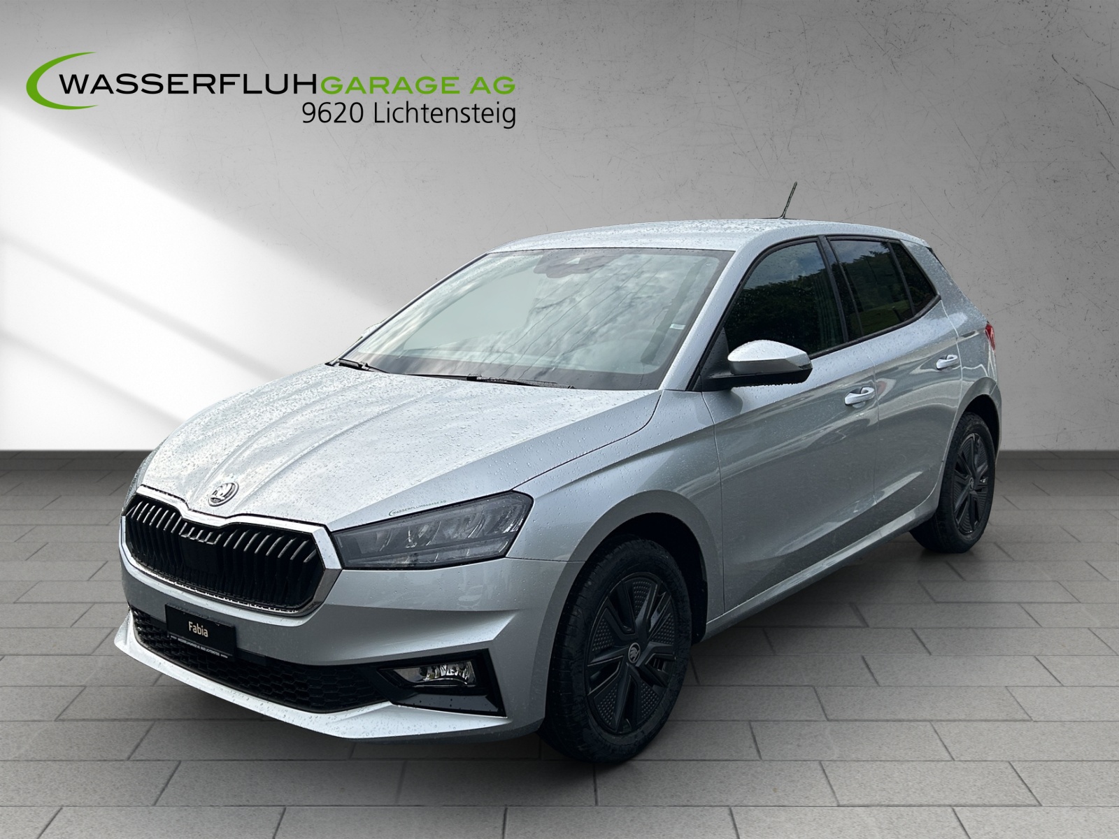 SKODA Fabia 1.0 TSI Selection DSG-image-3