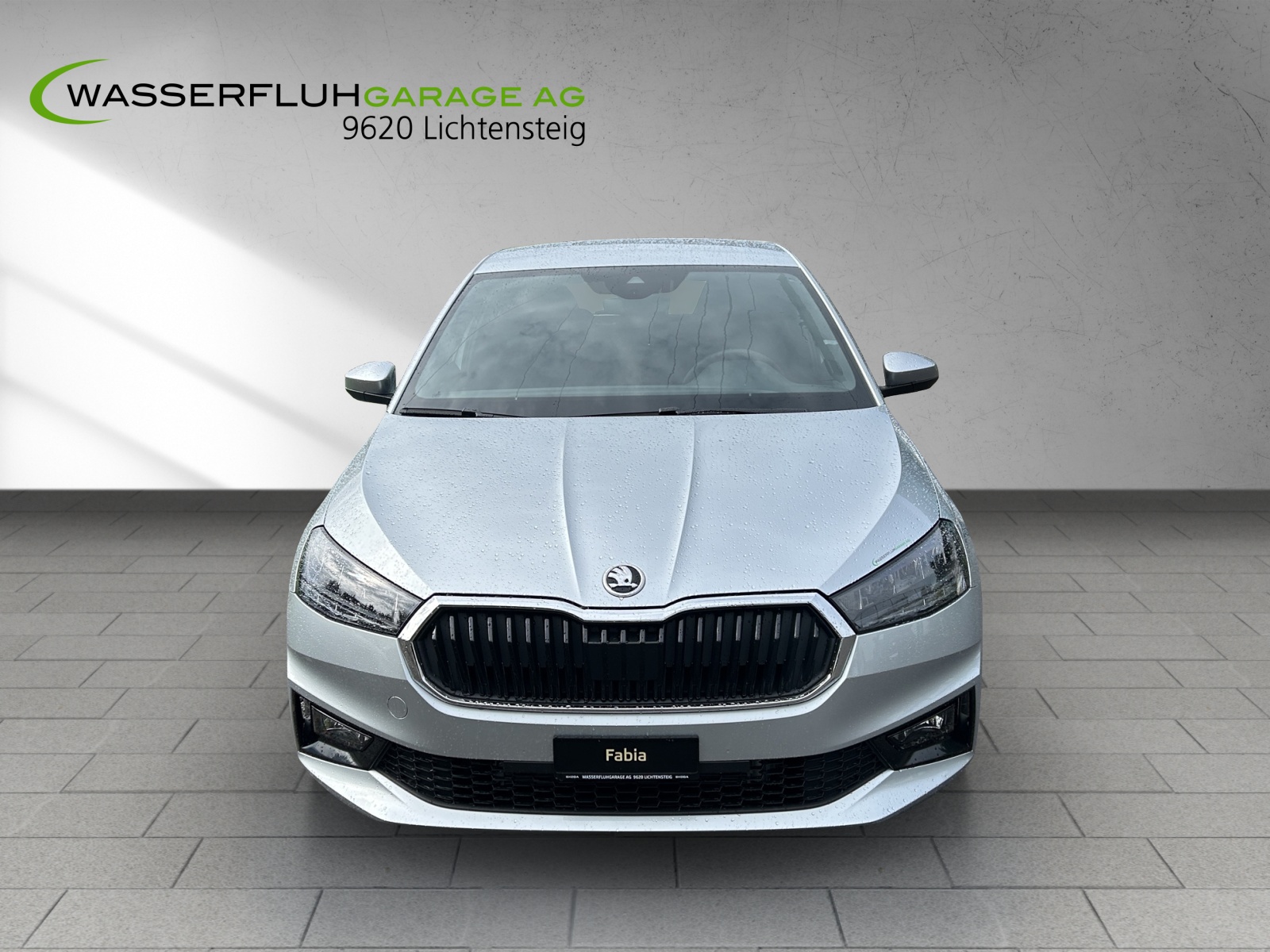SKODA Fabia 1.0 TSI Selection DSG-image-0