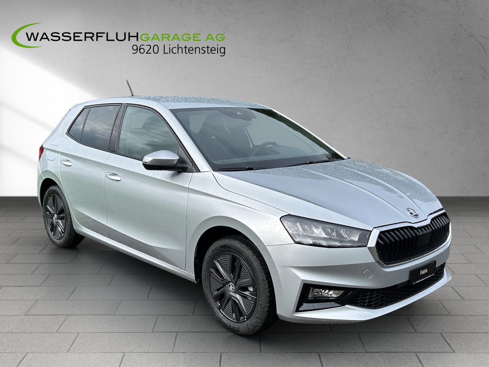 SKODA Fabia 1.0 TSI Selection DSG-image-13