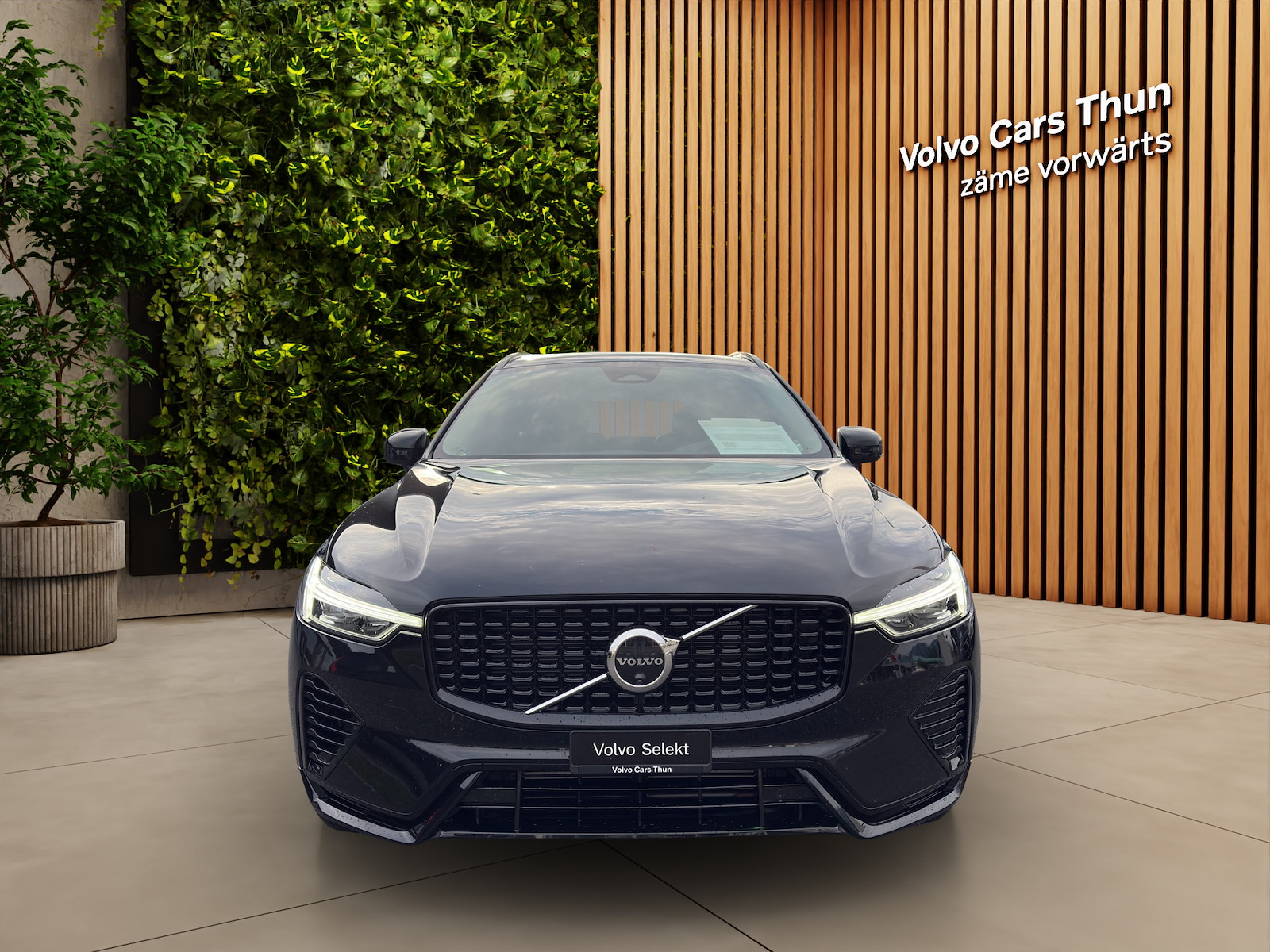 VOLVO XC60 2.0 T6 TE Plus Dark eAWD-image-6