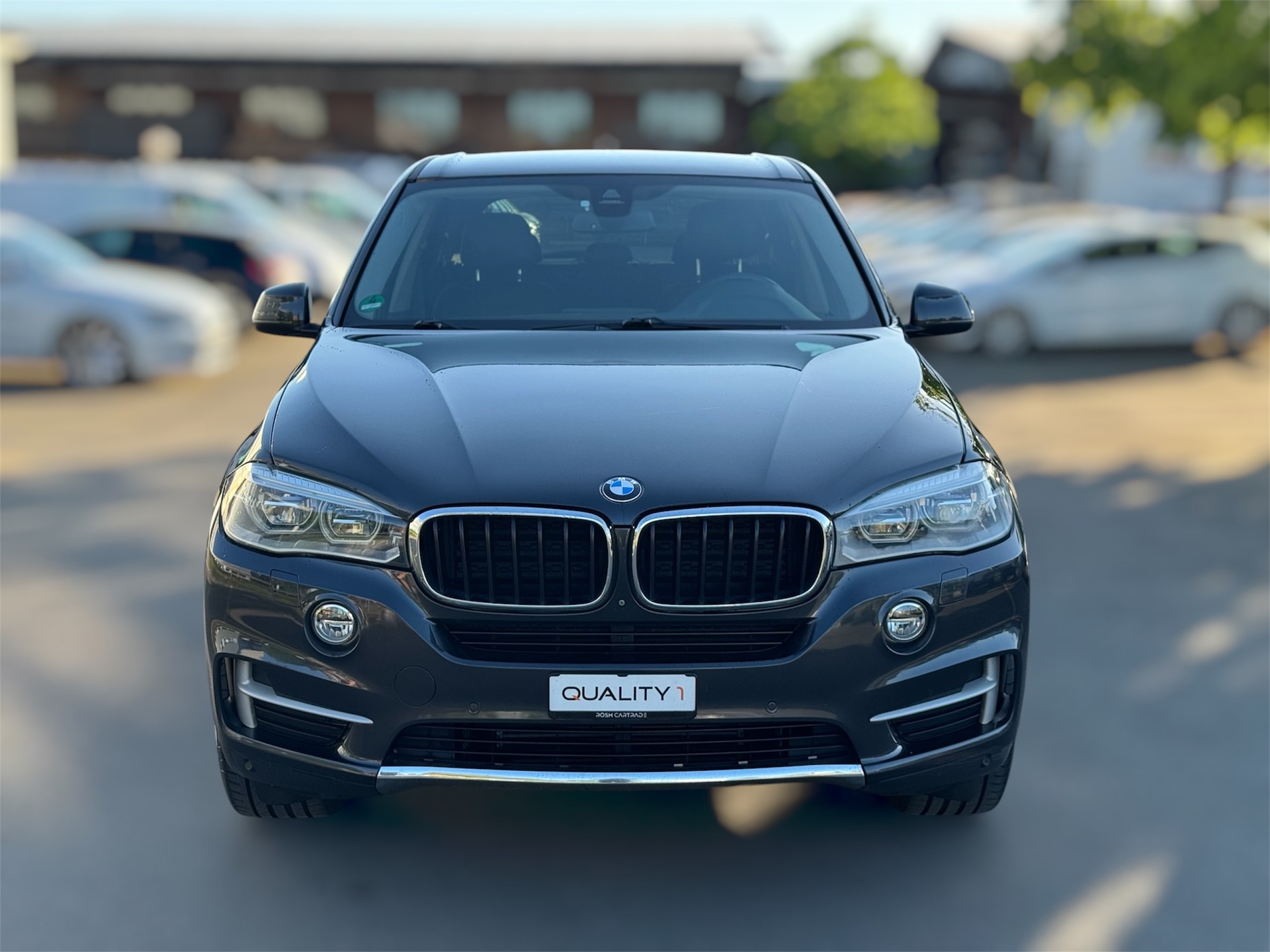 BMW X5 xDrive 30d Steptronic-image-1