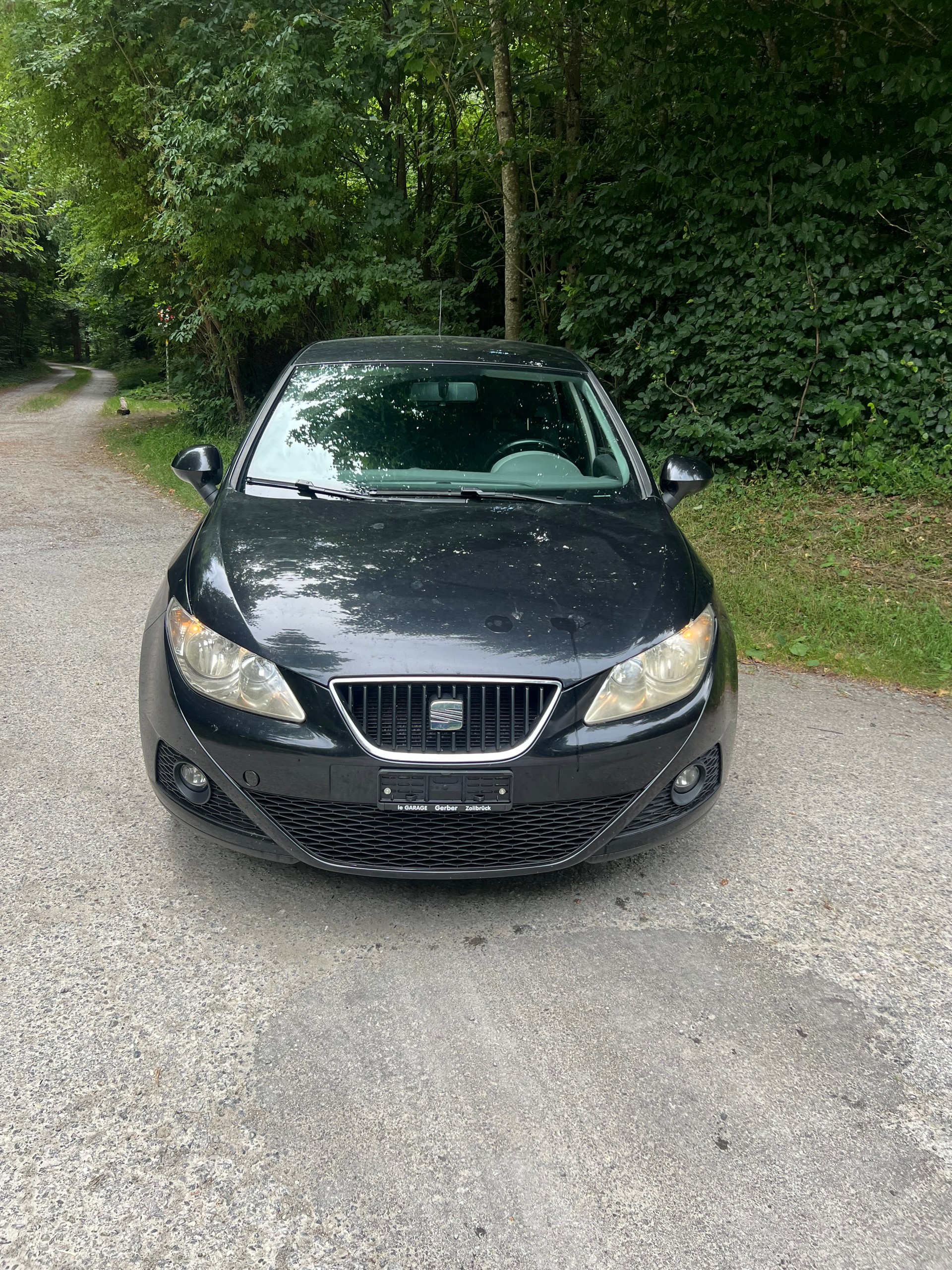 SEAT IBIZA-image-0