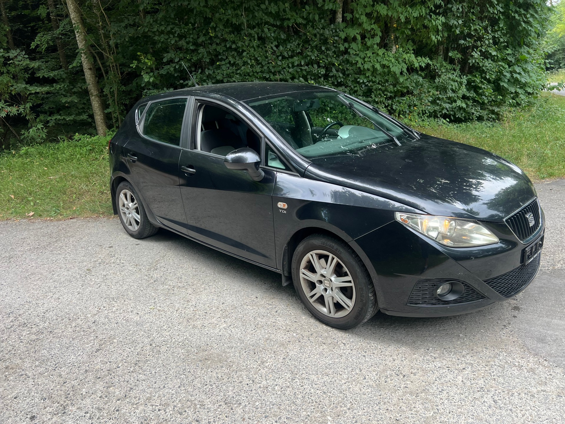 SEAT IBIZA-image-1