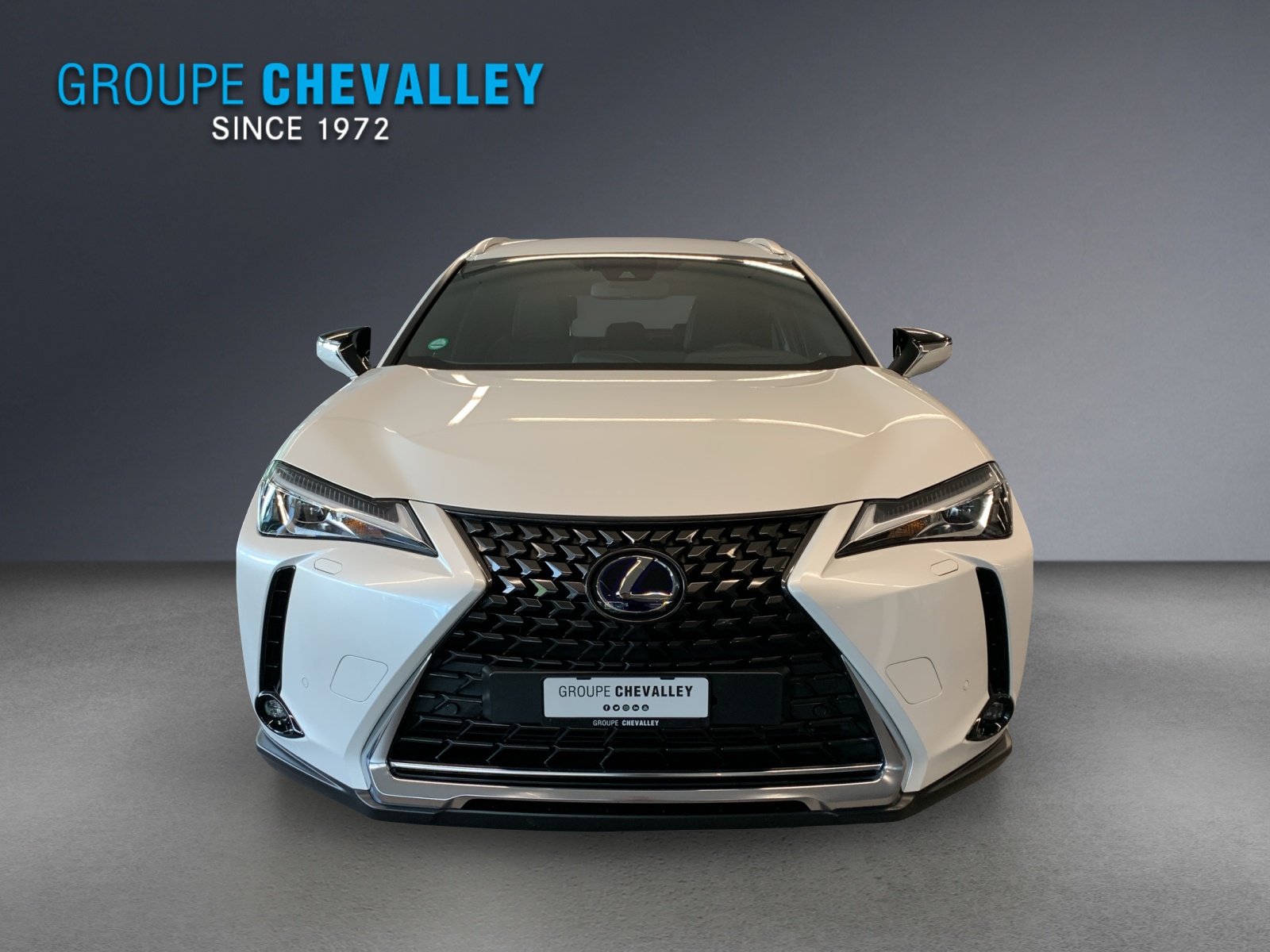 LEXUS UX 300e Impression-showroom-element-1