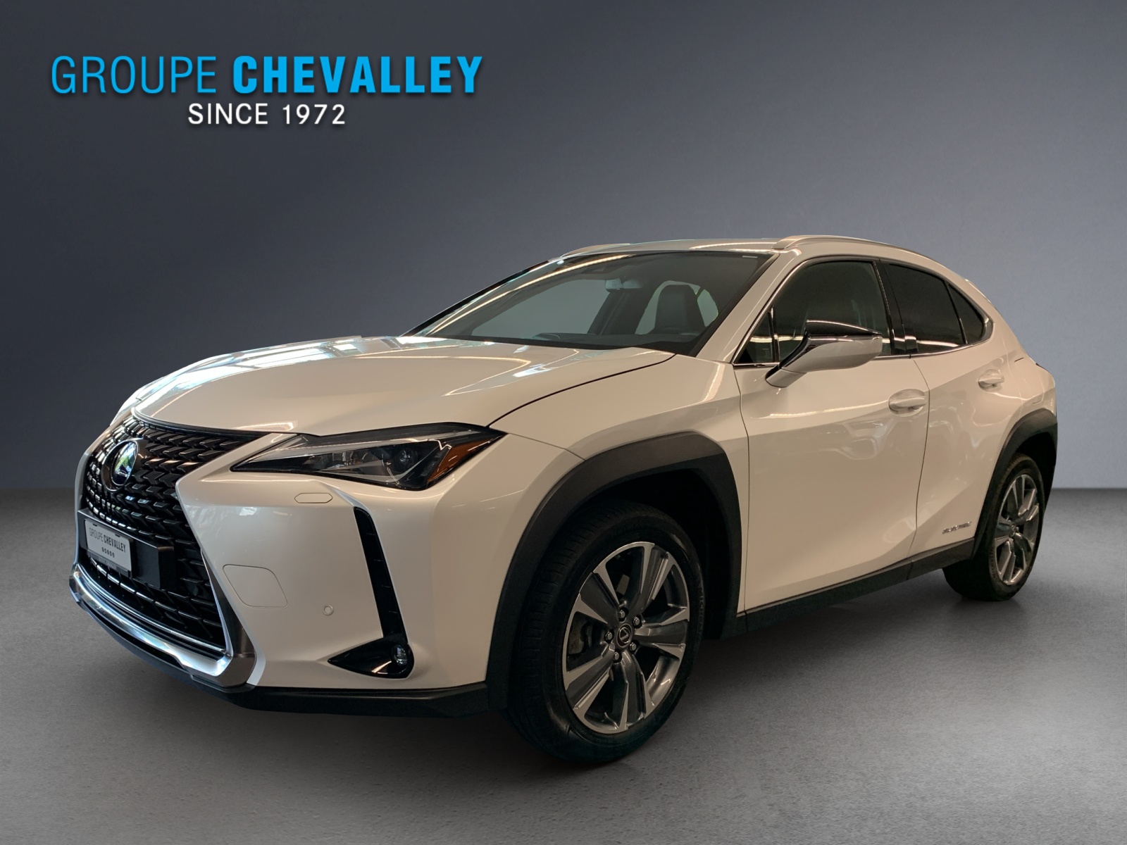LEXUS UX 300e Impression