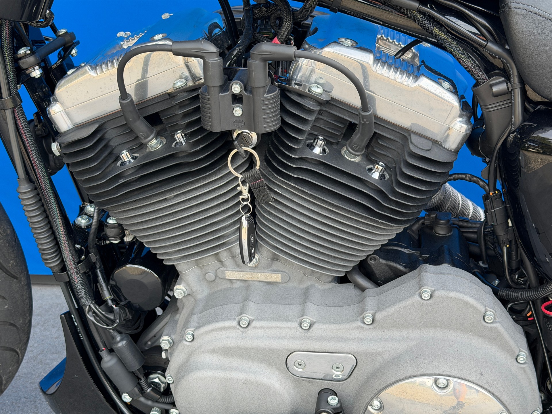 HARLEY-DAVIDSON XL 1200 N Sportster Nightster-image-10