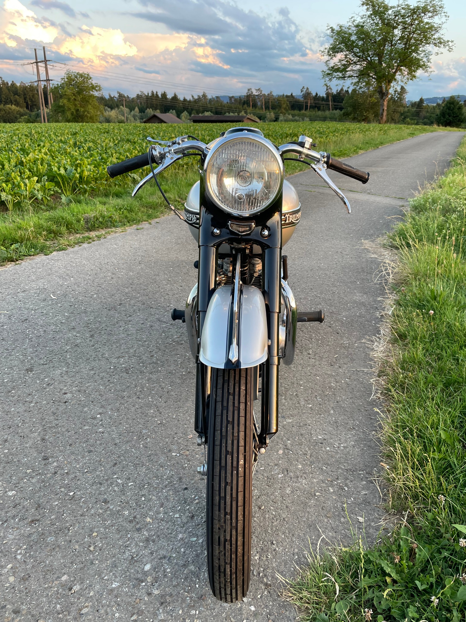 TRIUMPH T100 Competition-image-3