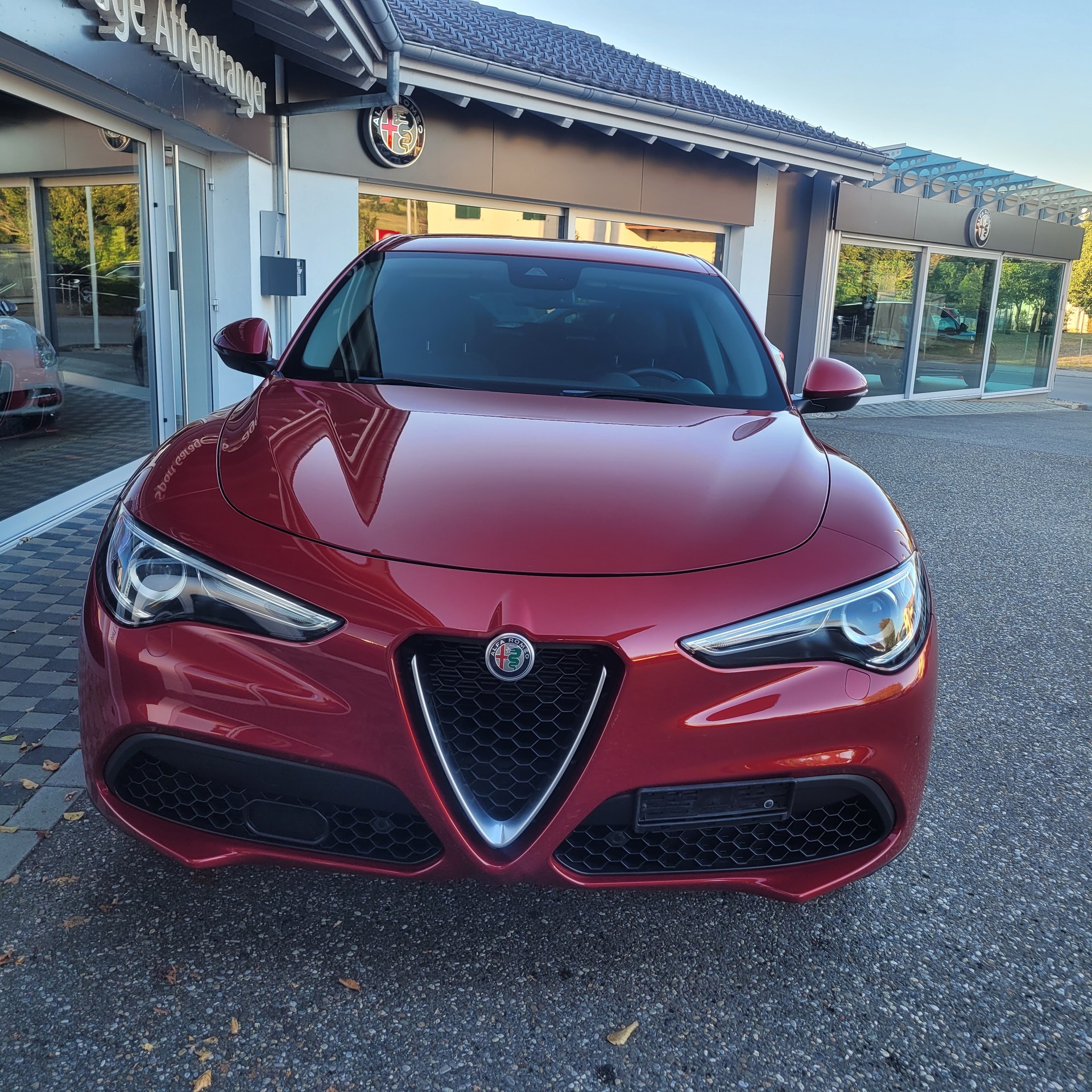 ALFA ROMEO Stelvio 2.0 Executive Q4 Automatic-image-5