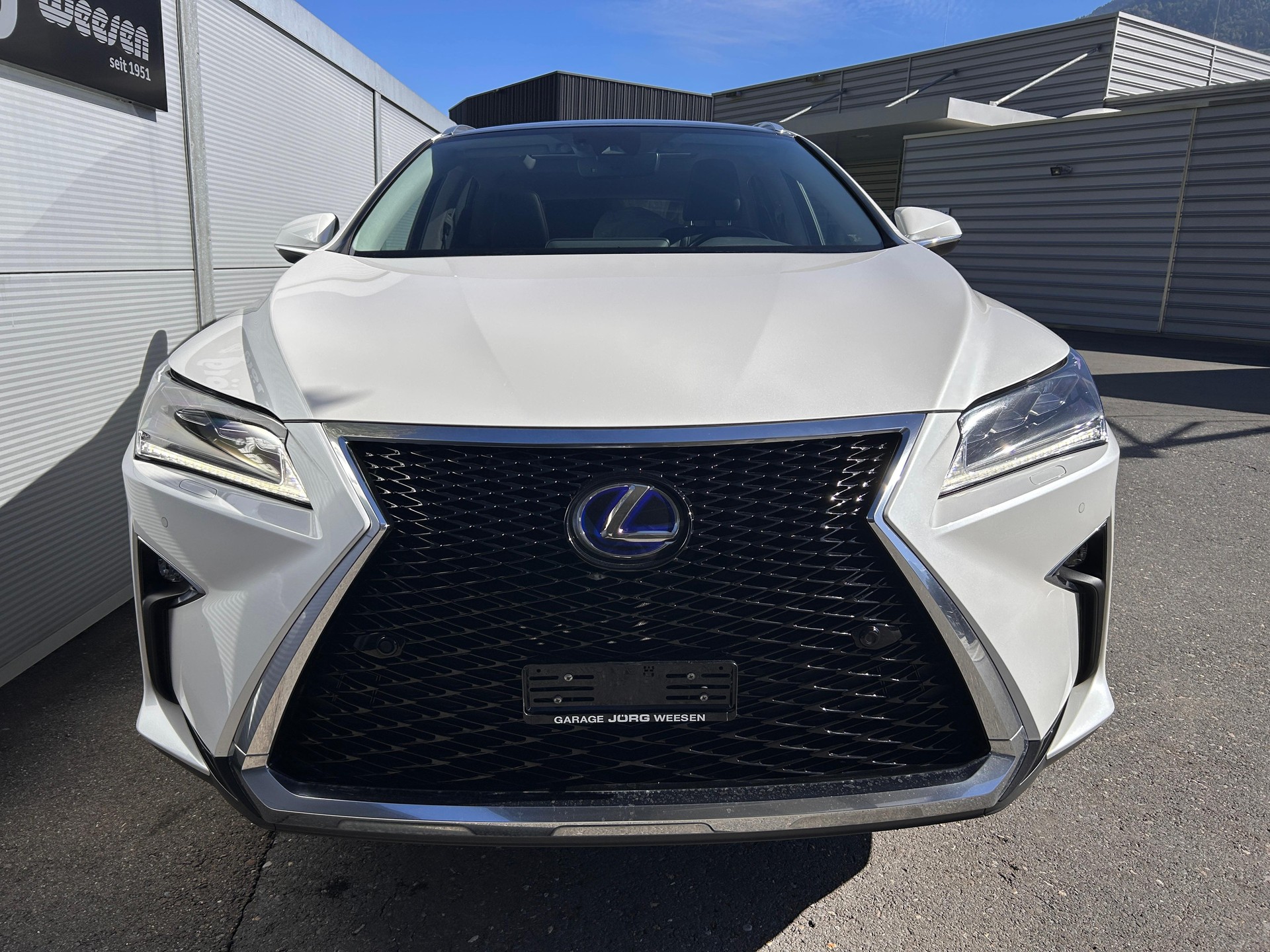 LEXUS RX 450h Diamond F-Sport-image-1