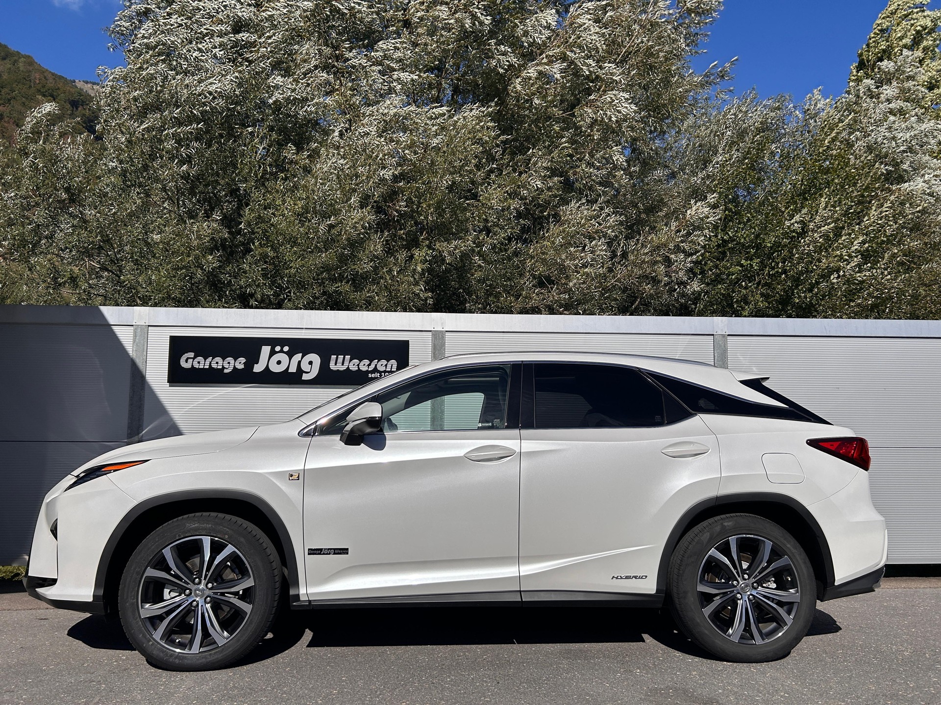 LEXUS RX 450h Diamond F-Sport-image-2