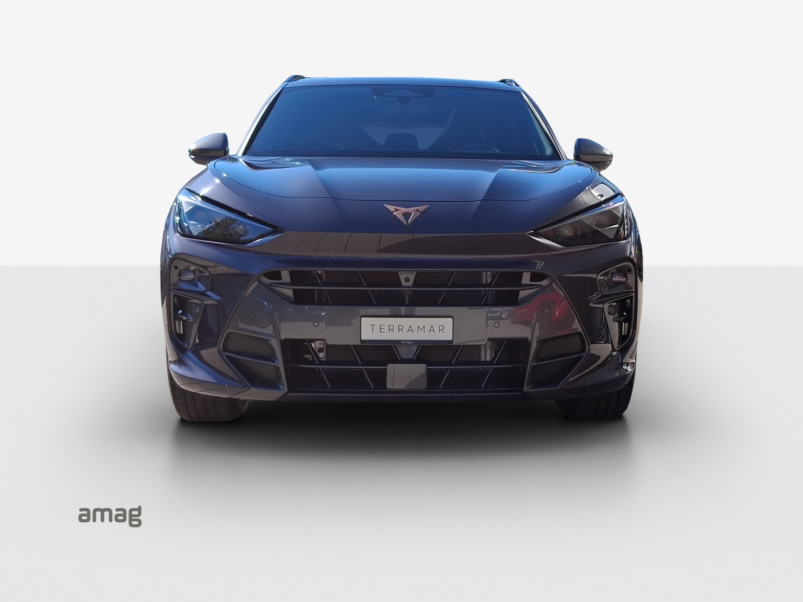 CUPRA Terramar 1.5 eHybrid Prime Edition VZ DSG-image-6