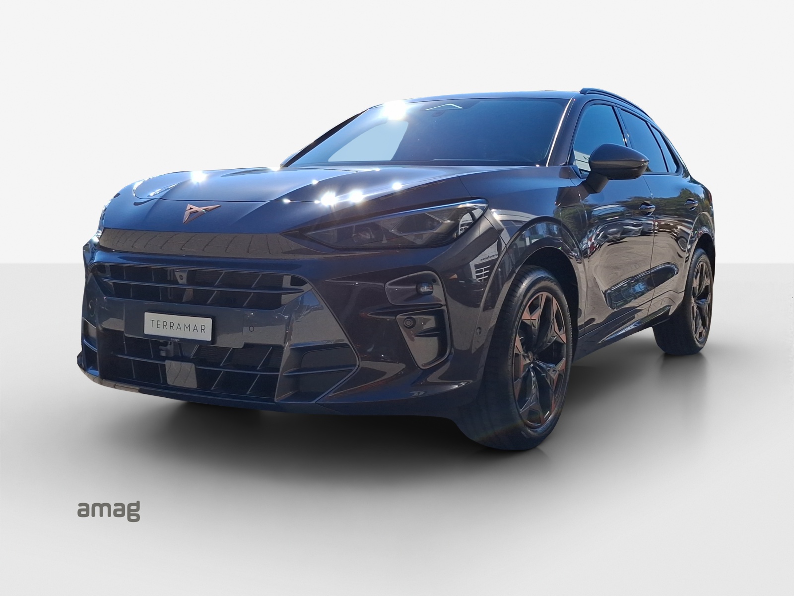 CUPRA Terramar 1.5 eHybrid Prime Edition VZ DSG-image-0