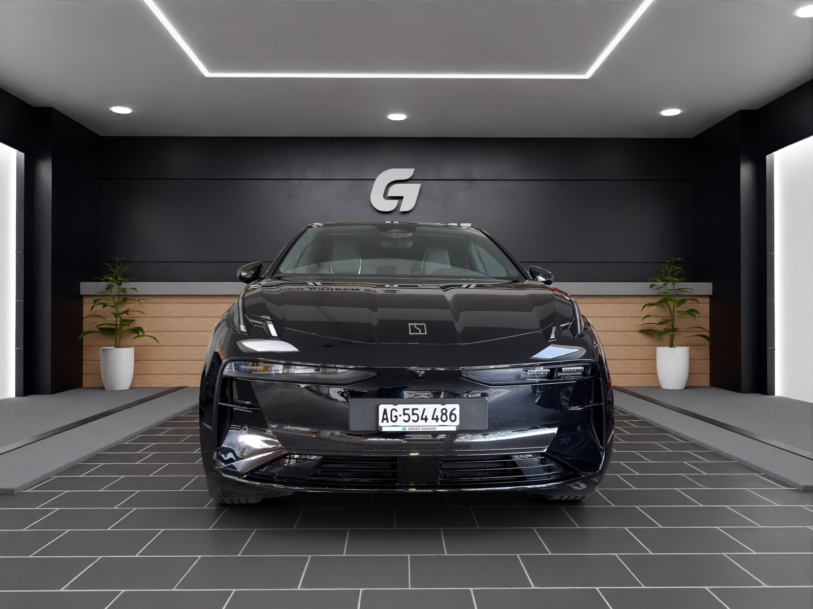 ZEEKR X Privilage AWD-showroom-element-2