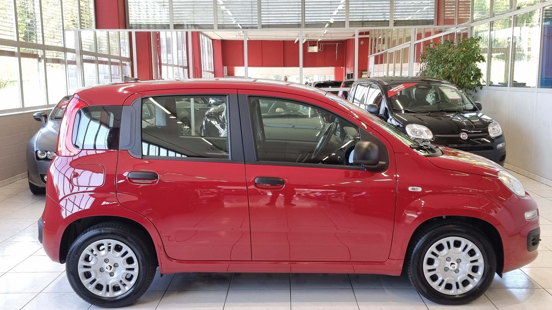 FIAT Panda 1.0 Hybrid City Life-image-6