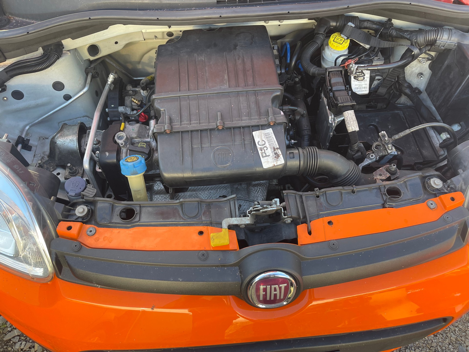FIAT PANDA-image-11