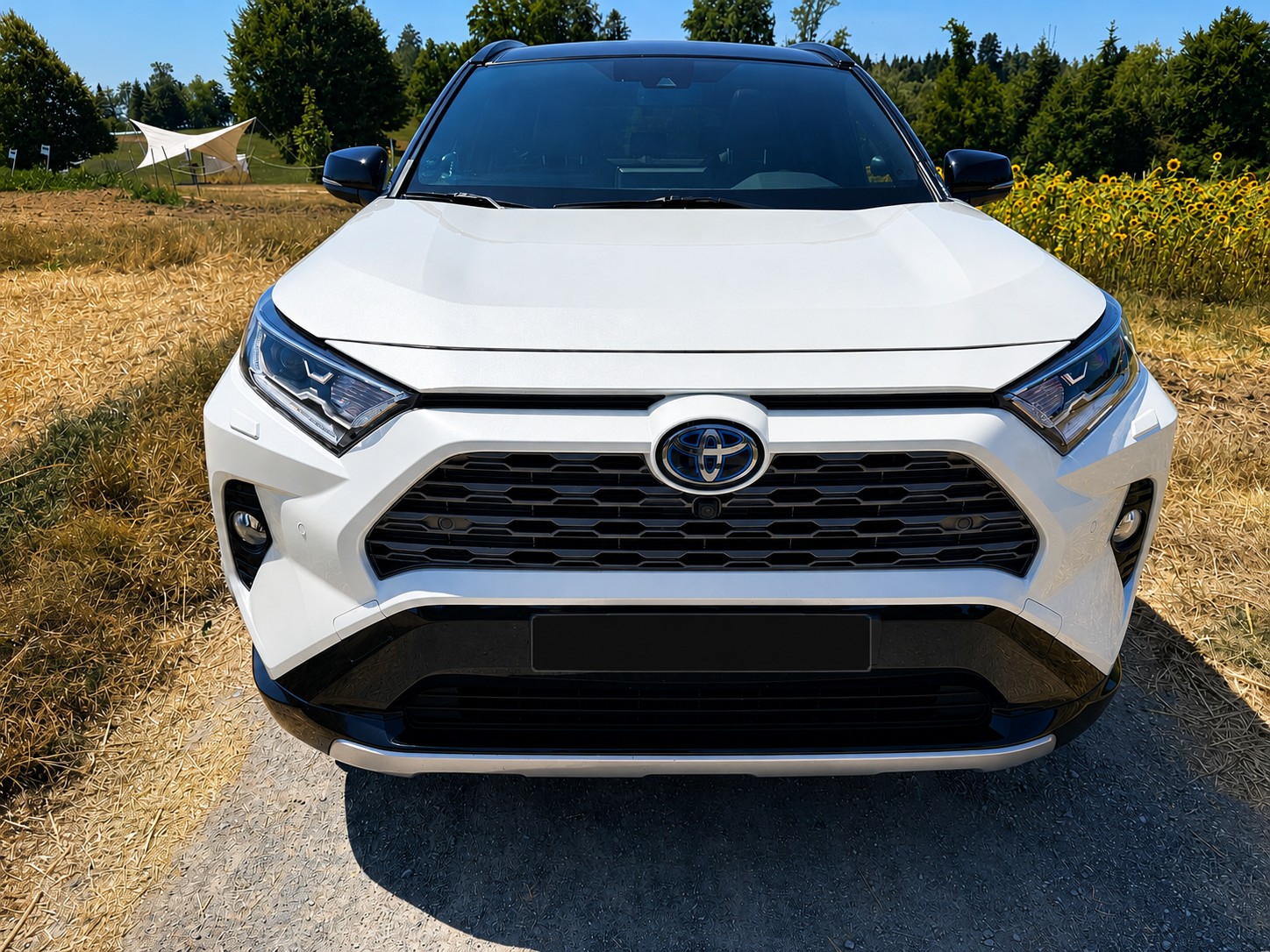 TOYOTA 2.5 HEV Style-image-0