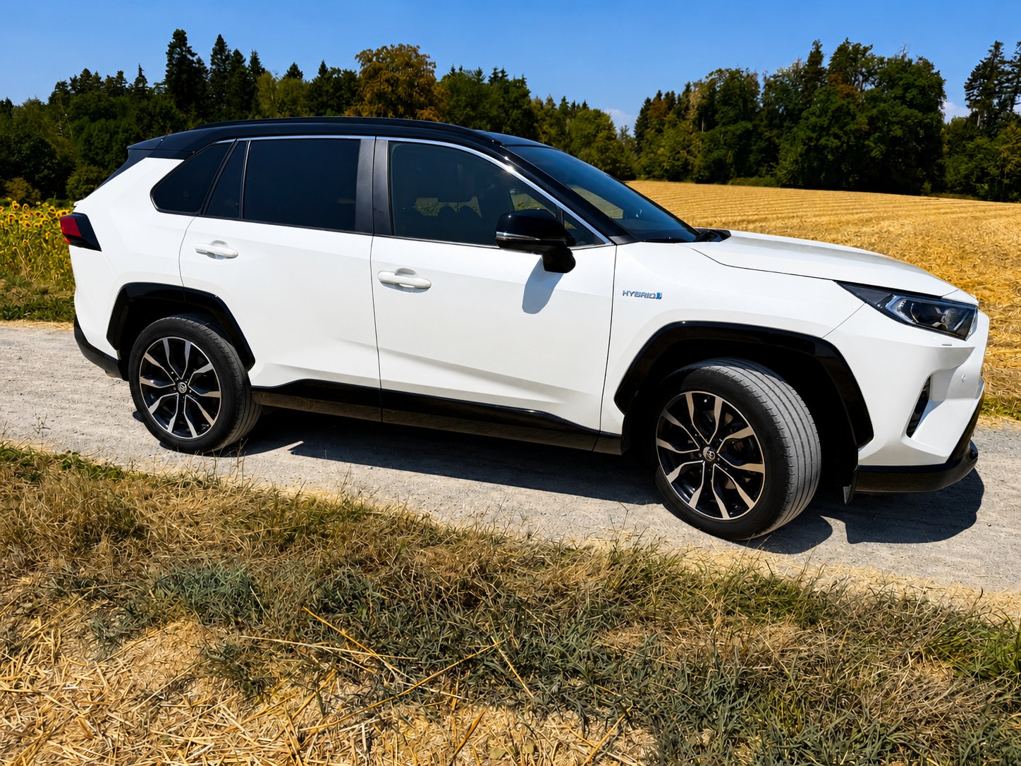 TOYOTA 2.5 HEV Style-image-3