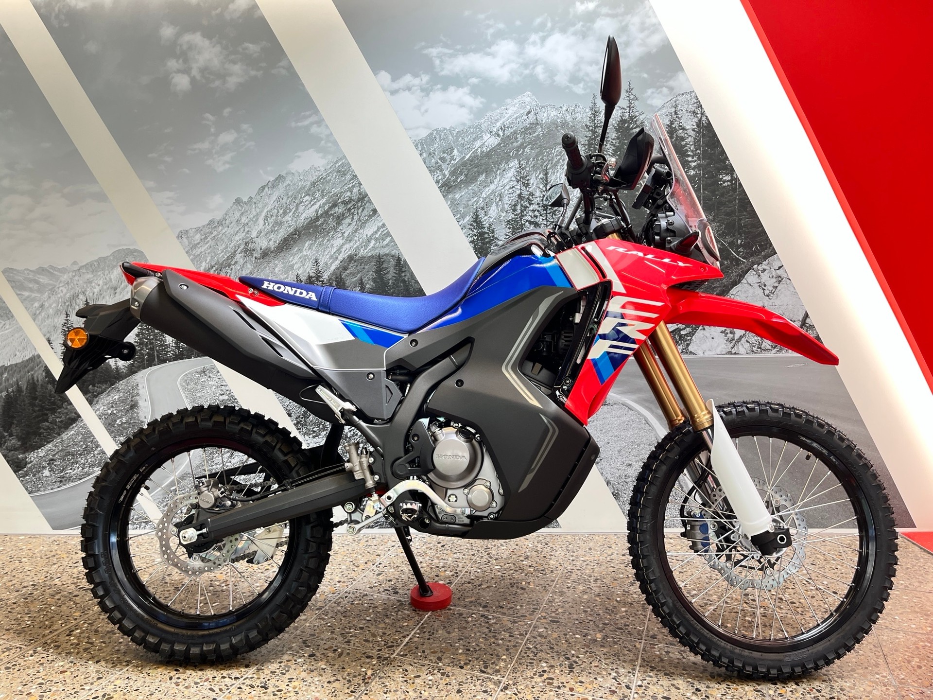 HONDA CRF 300 RL Rally