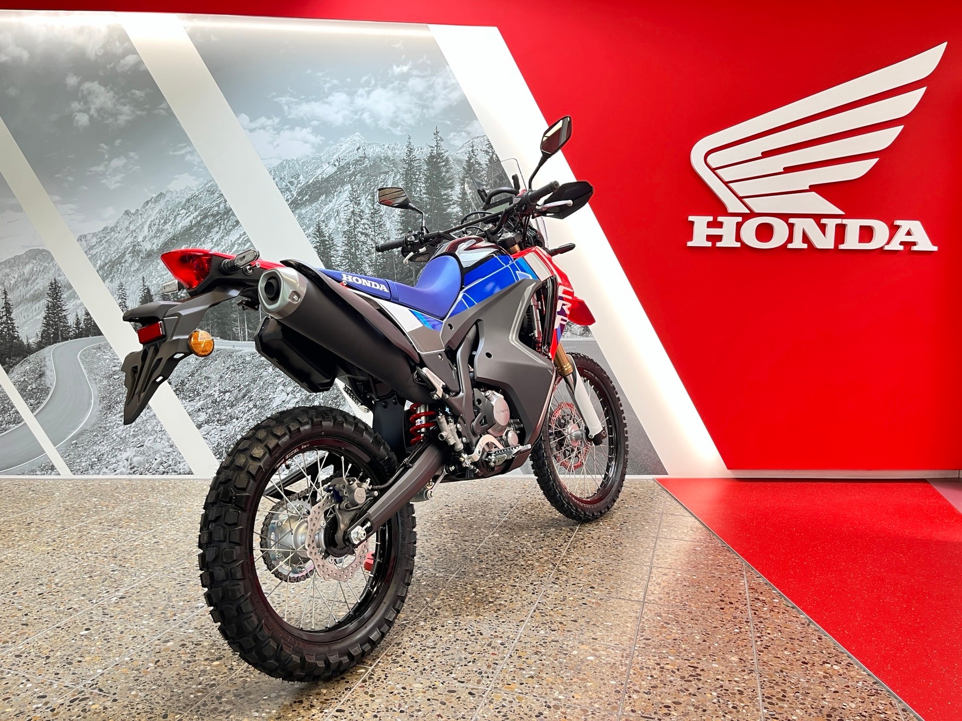 HONDA CRF 300 RL Rally-showroom-element-3