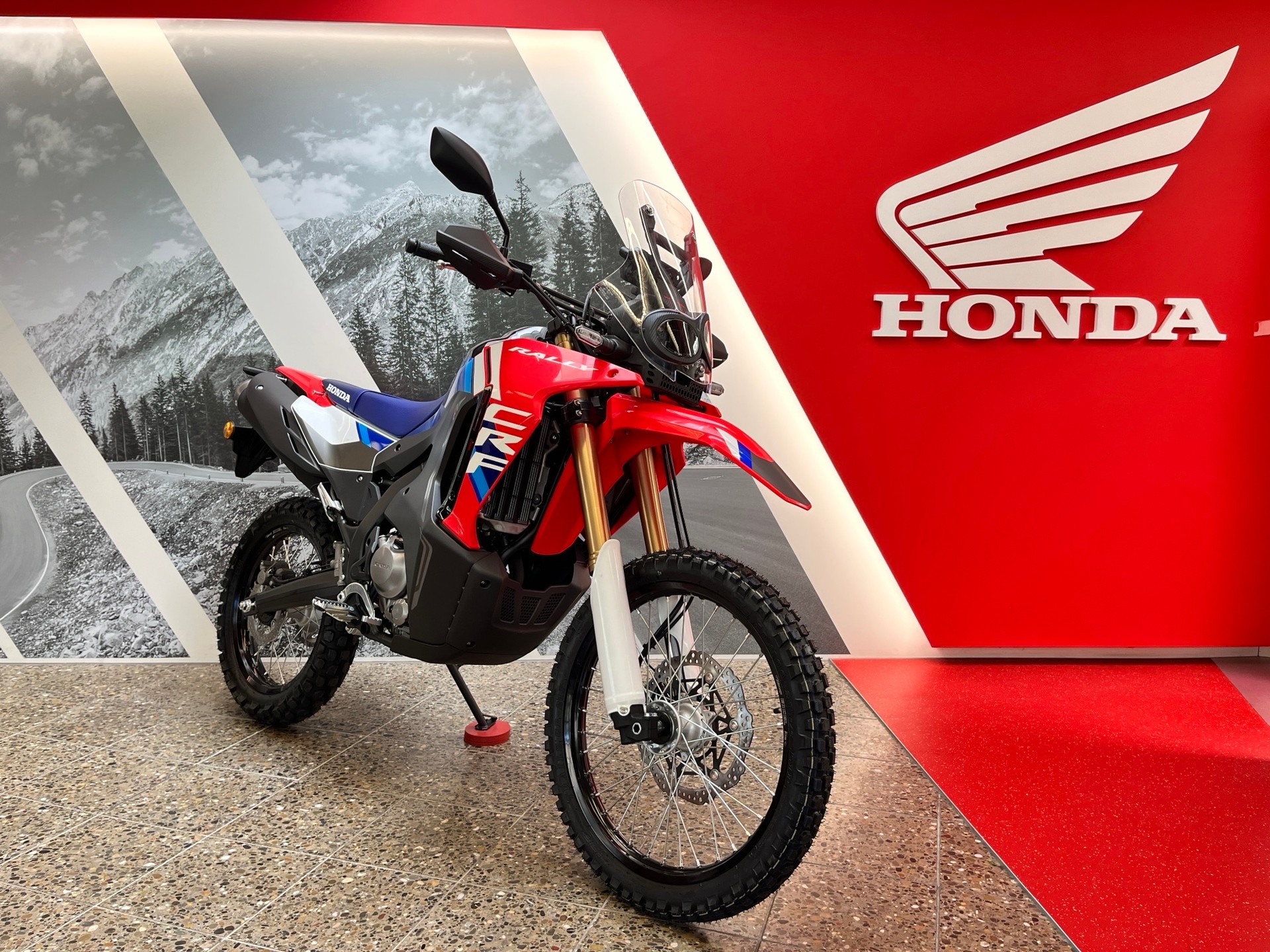 HONDA CRF 300 RL Rally-showroom-element-2