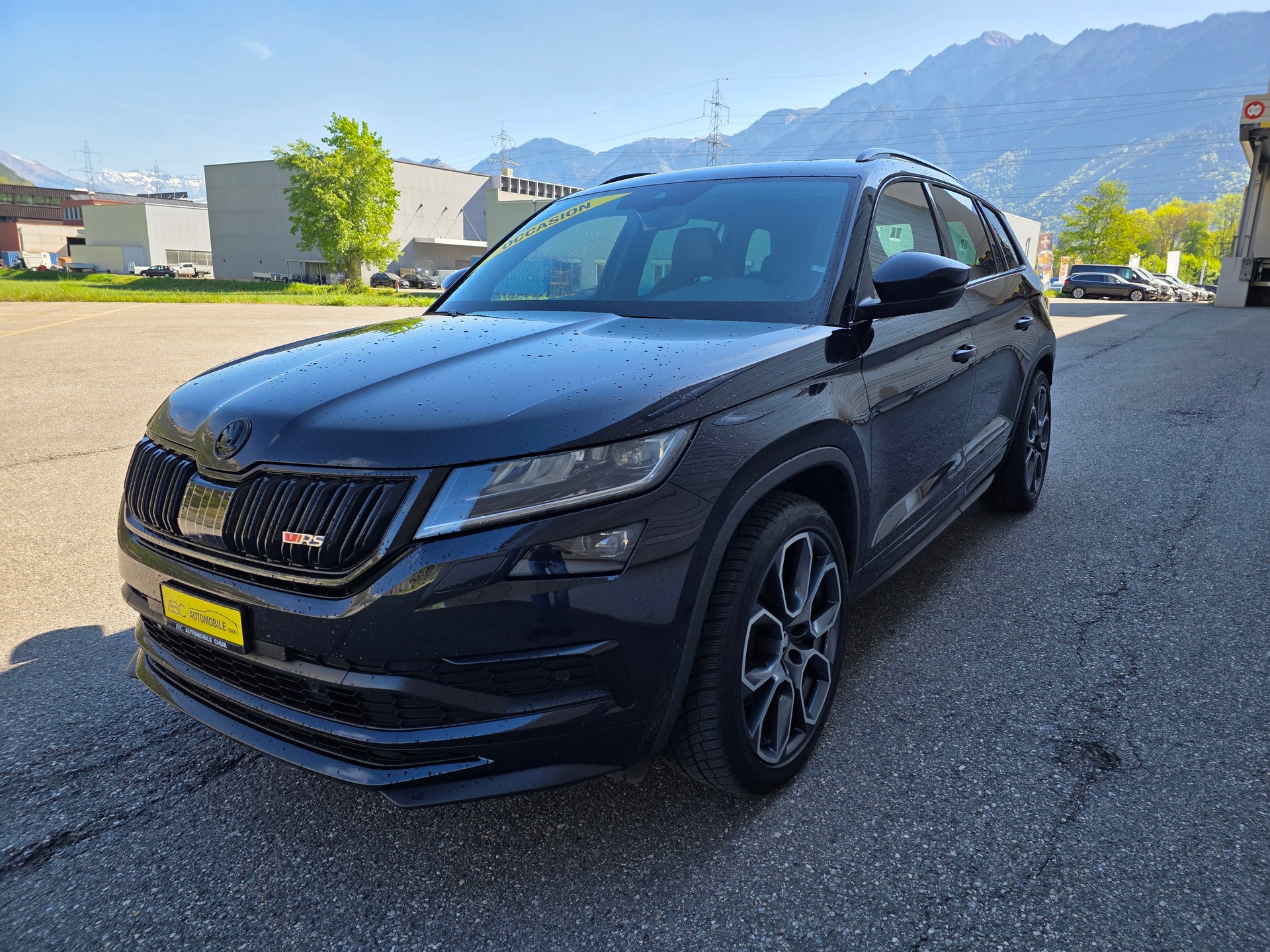 SKODA Kodiaq 2.0 Bi-TDI SCR RS 4x4 DSG-showroom-element-2