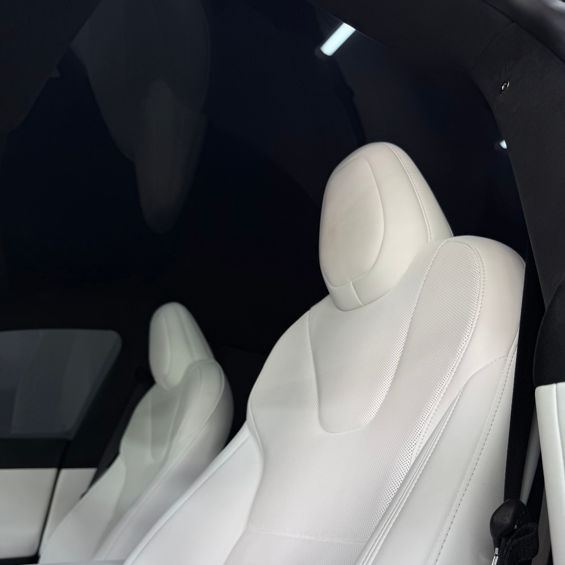 TESLA Model S 100 kWh AWD-image-10