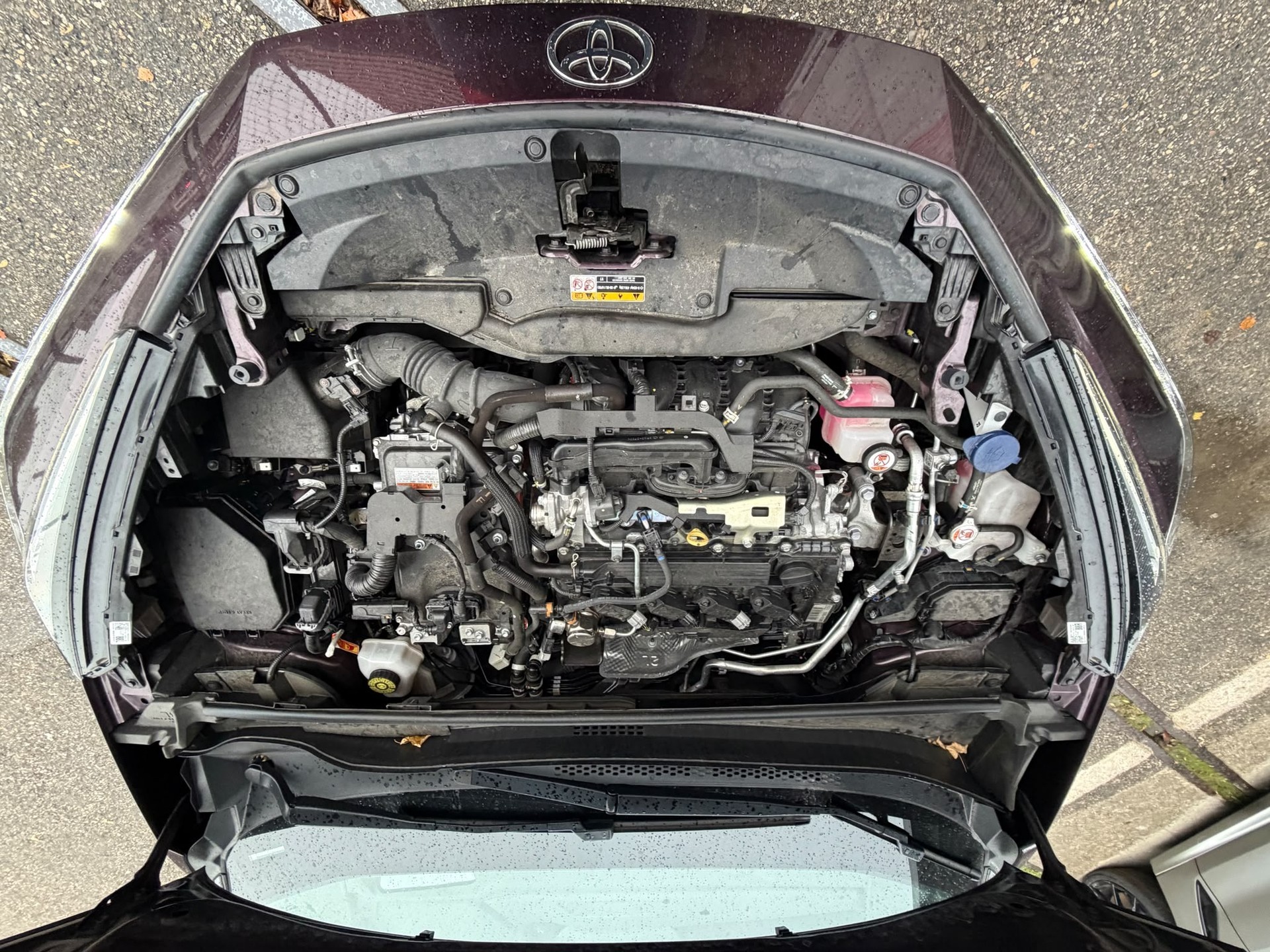 TOYOTA C-HR 2.0 PHEV CVT Style Premiere-image-10