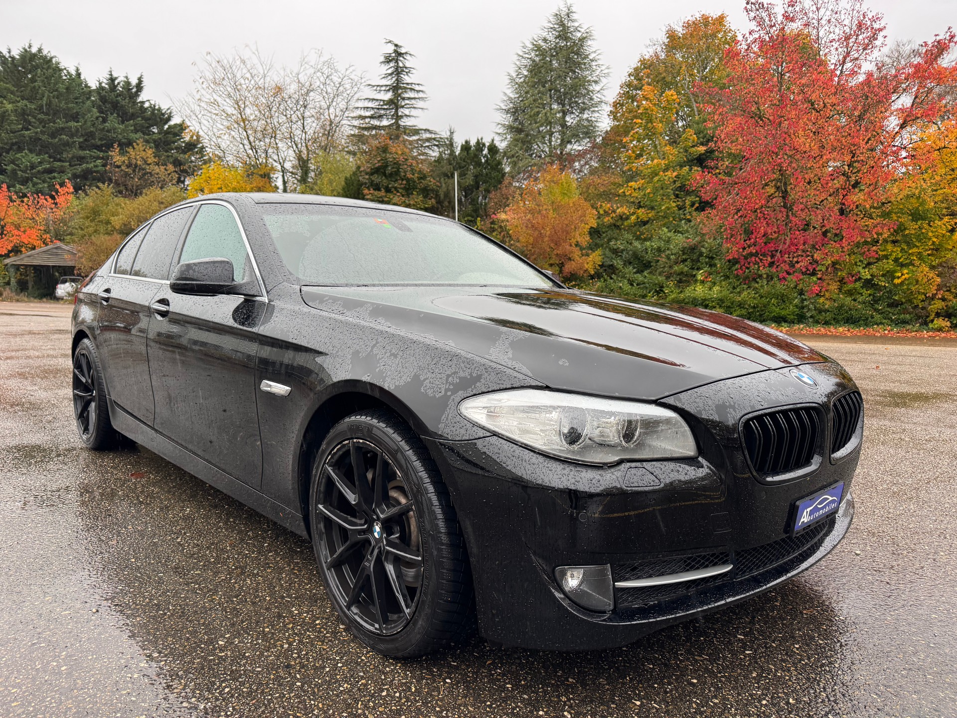 BMW 530d Steptronic-image-2