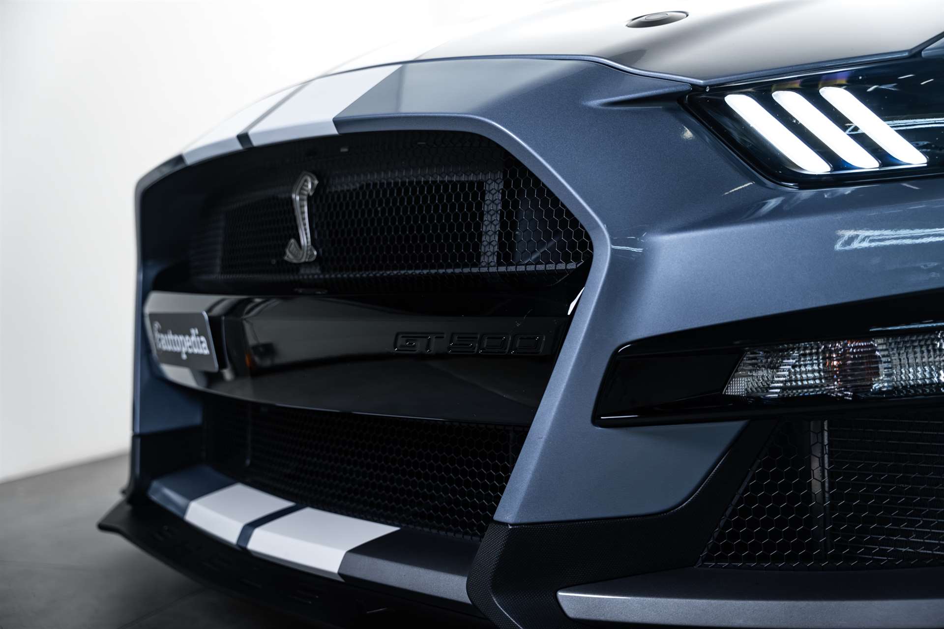 FORD Mustang Shelby GT 500 Heritage USA-image-2