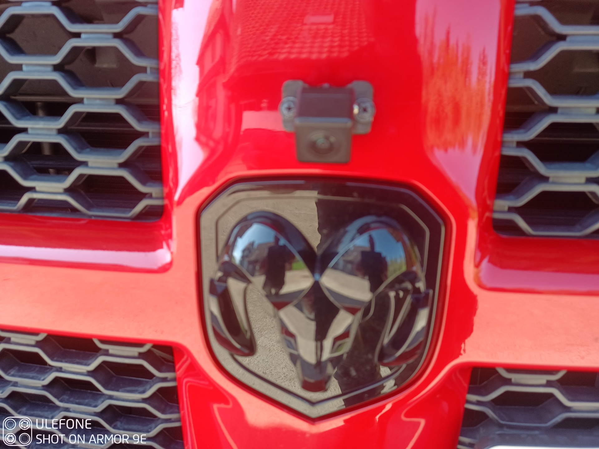 DODGE Regular Cap Sport 4x4 (Pick-up)-image-10