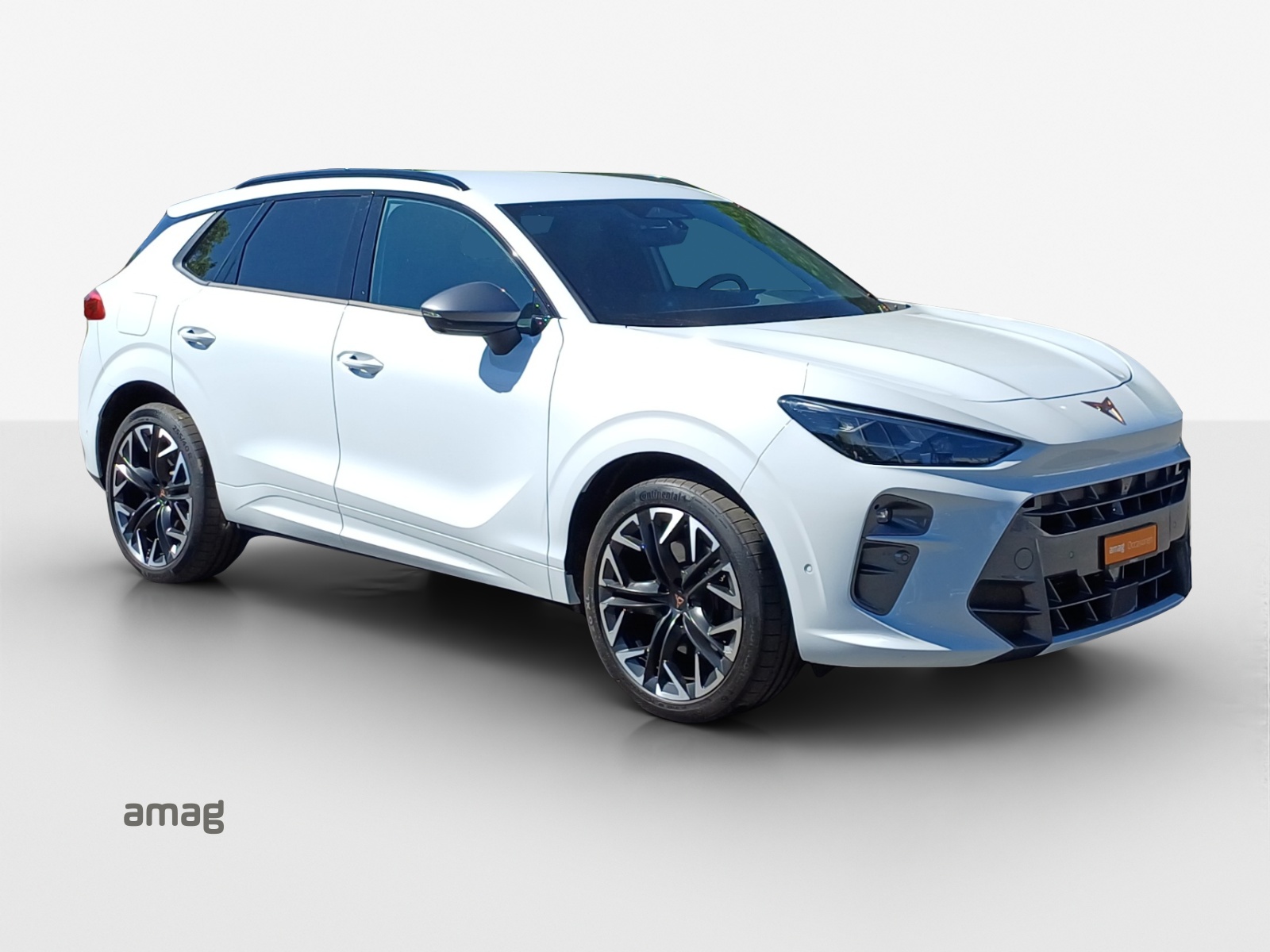 CUPRA Terramar 2.0 TSI DSG 4Drive VZ-image-5
