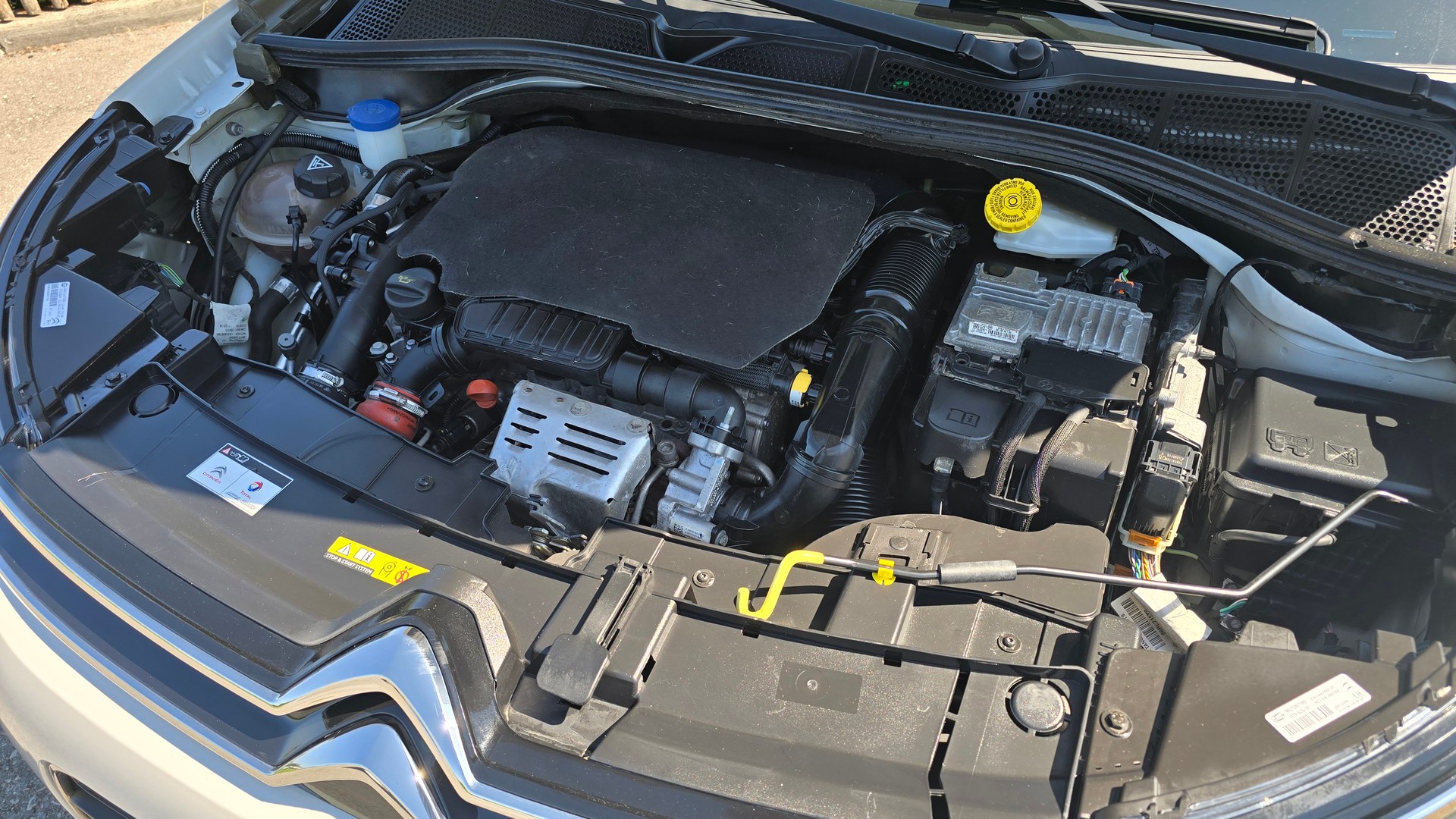 CITROEN C4 Cactus 1.2 Pure Tech Shine EAT6, Zahnriemen neu, Automat-image-15