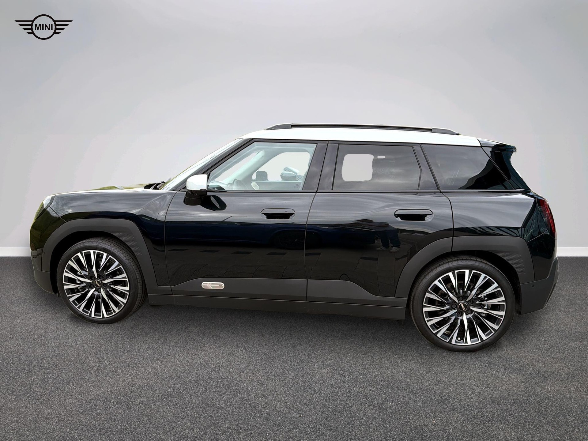 MINI Aceman SE-image-1