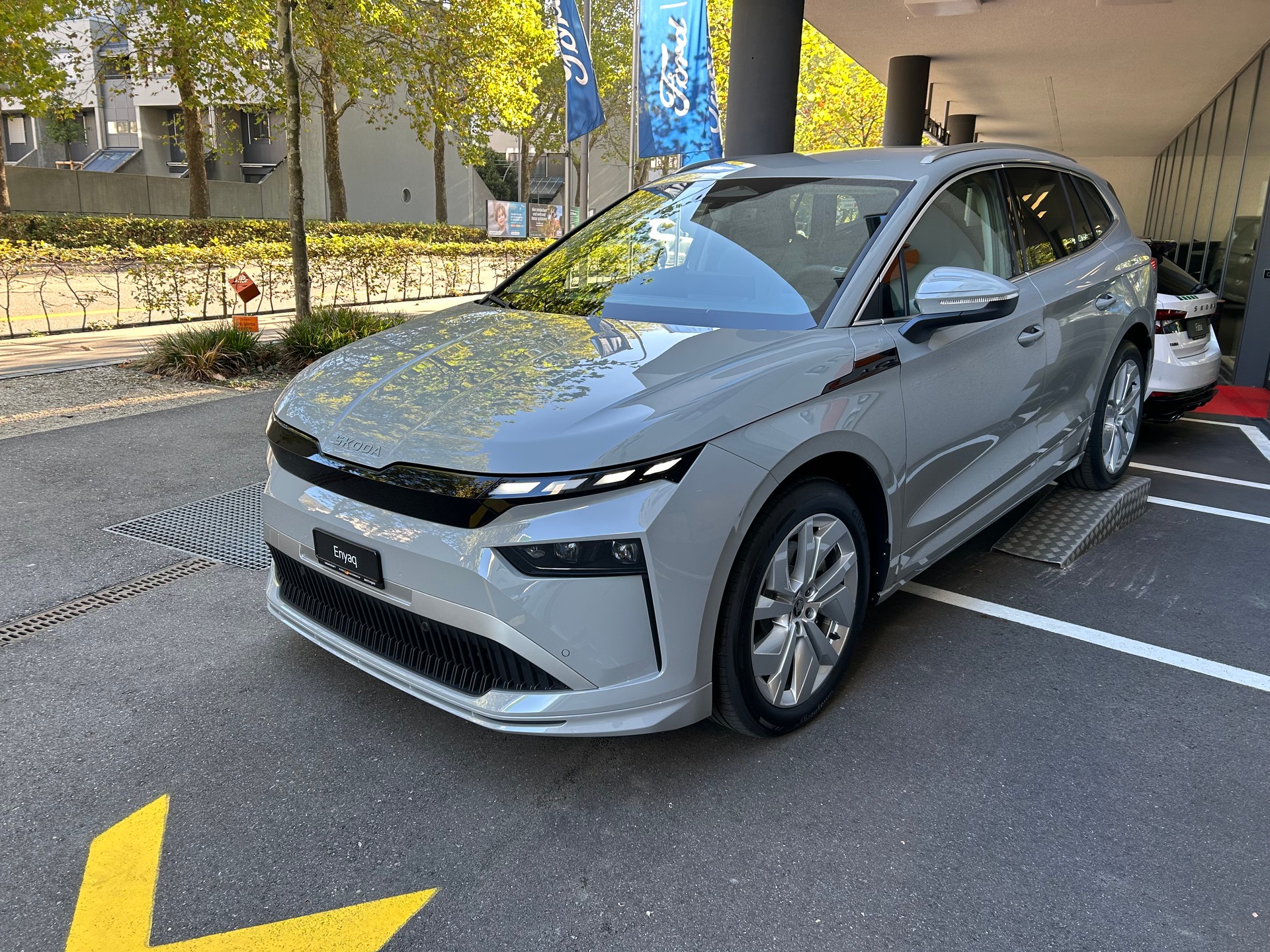 SKODA Enyaq 85x Dynamic 4x4-image-12