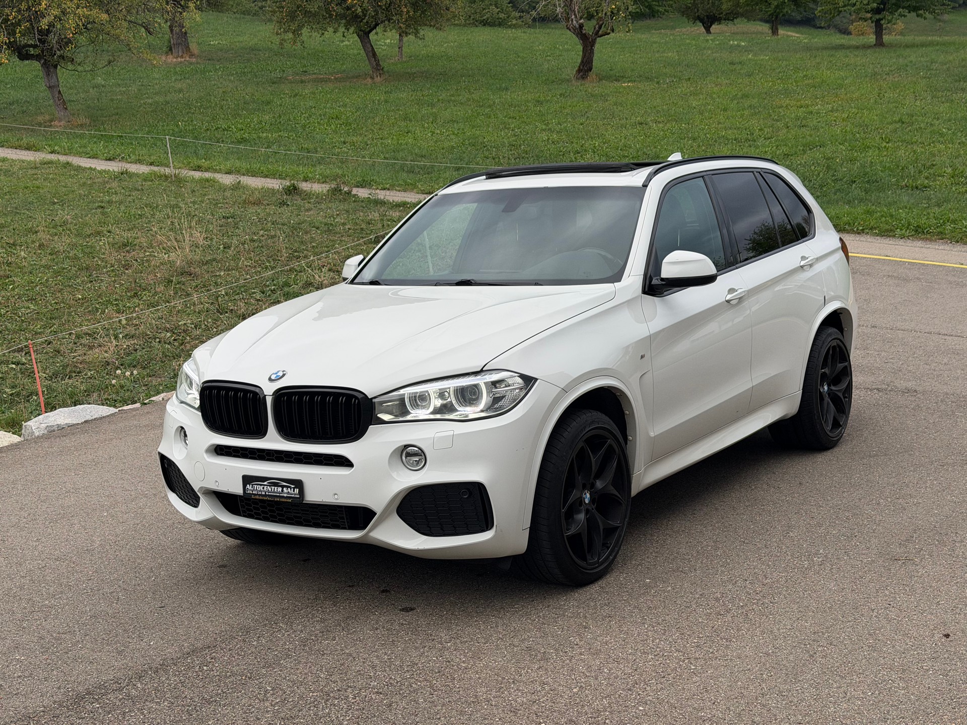 BMW X5 xDrive 40d Steptronic-image-0