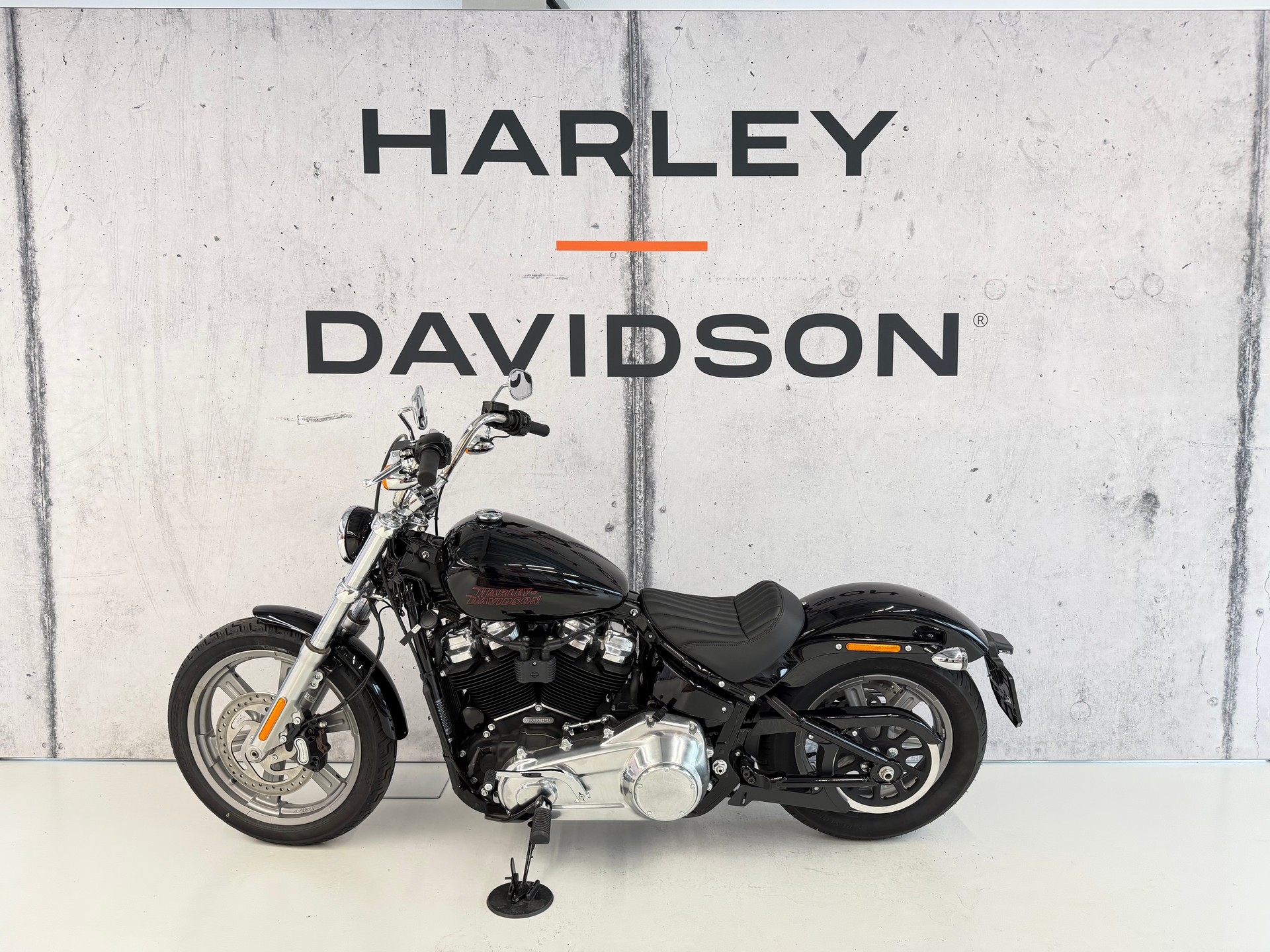 HARLEY-DAVIDSON FXST Softail Standard 107-showroom-element-3