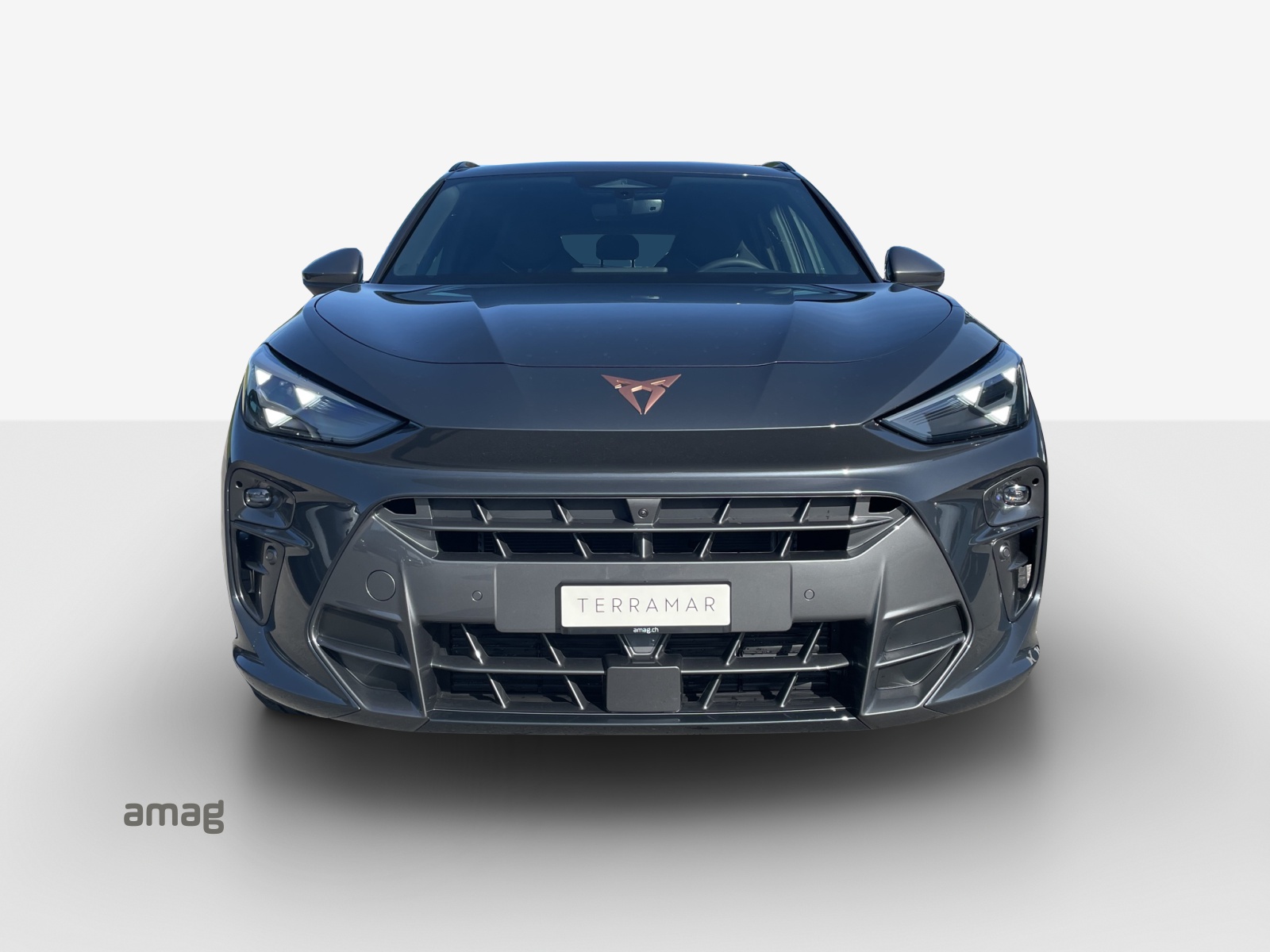 CUPRA Terramar 1.5 eTSI Prime Edition DSG-image-6